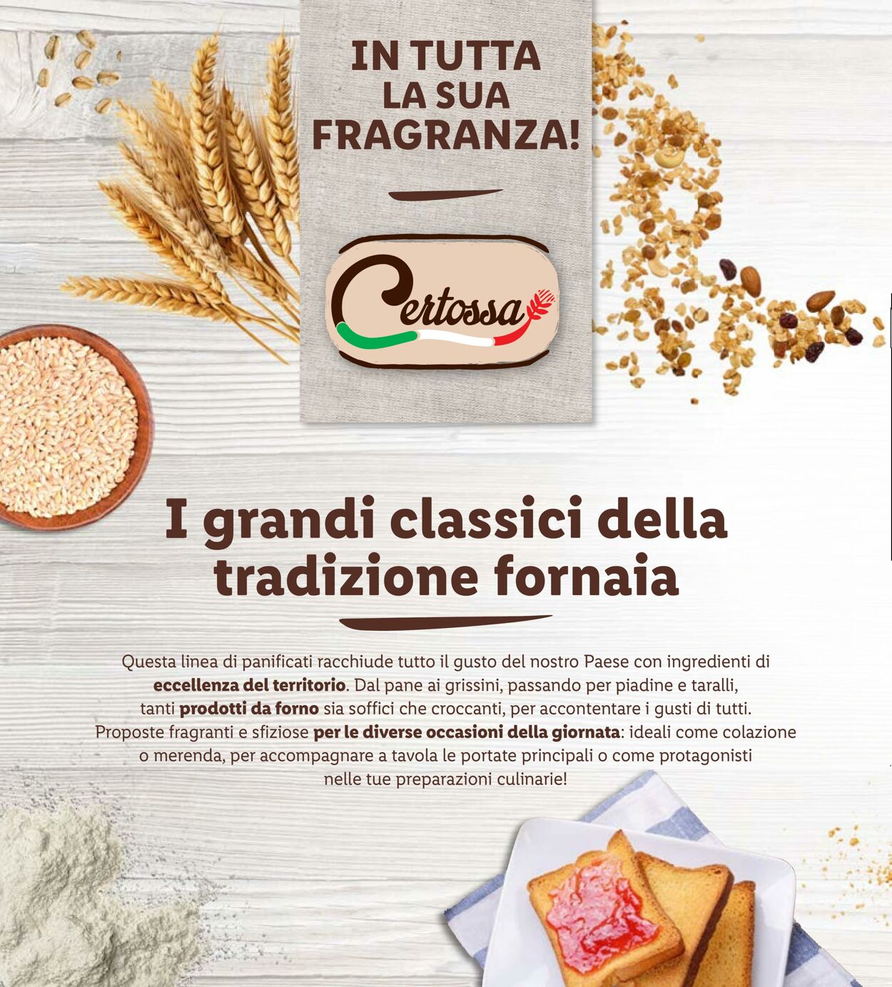 Volantino Lidl 13.05.2024 - 19.05.2024