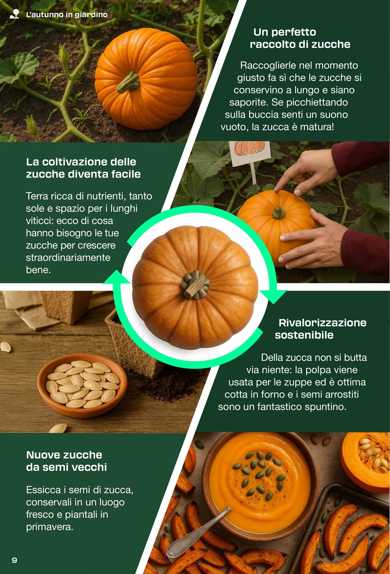 Volantino Lidl 01.09.2025 - 31.10.2025