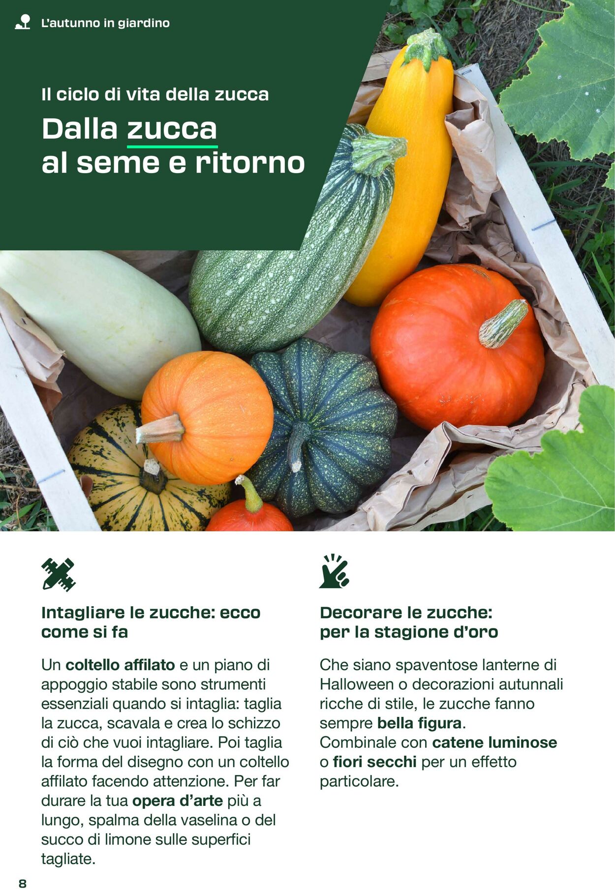 Volantino Lidl 01.09.2025 - 31.10.2025