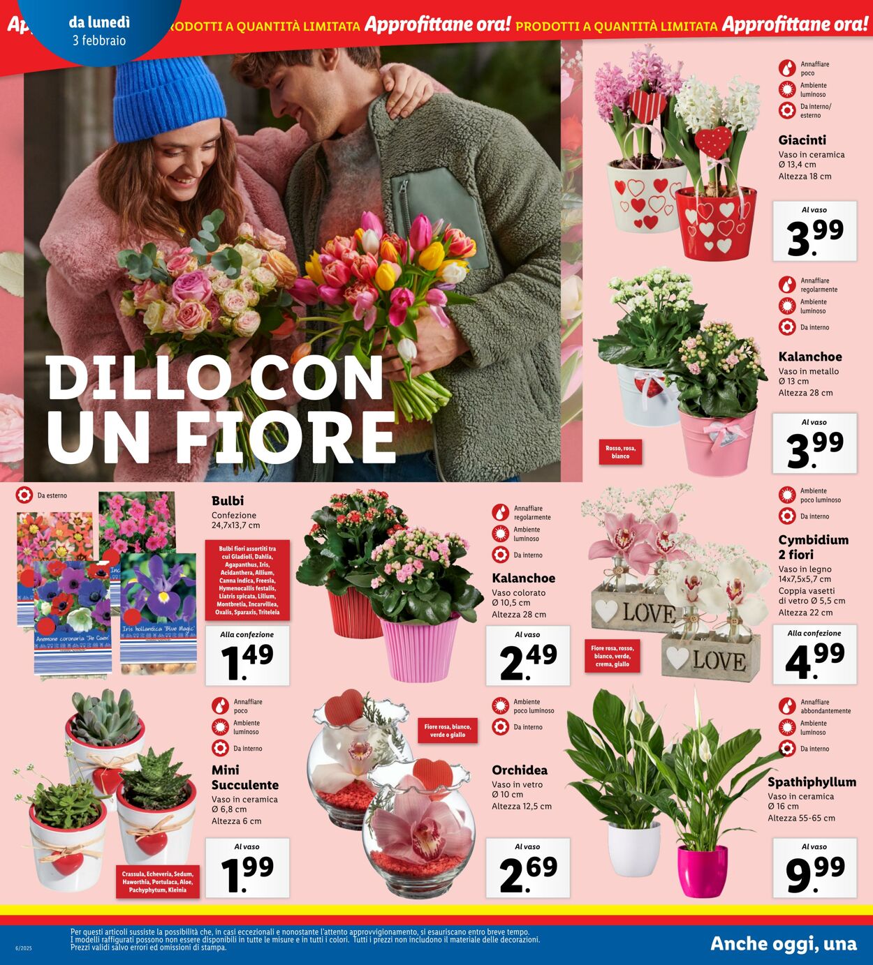 Volantino Lidl 03.02.2025 - 09.02.2025