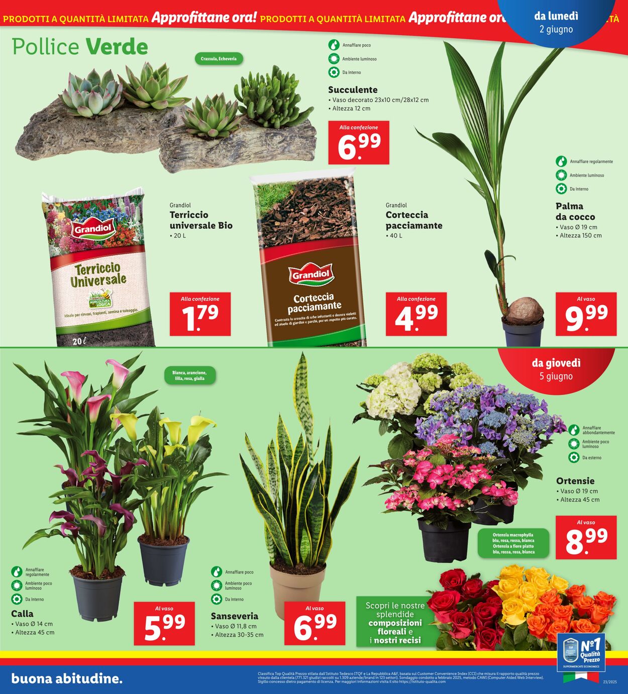 Volantino Lidl 02.06.2025 - 08.06.2025