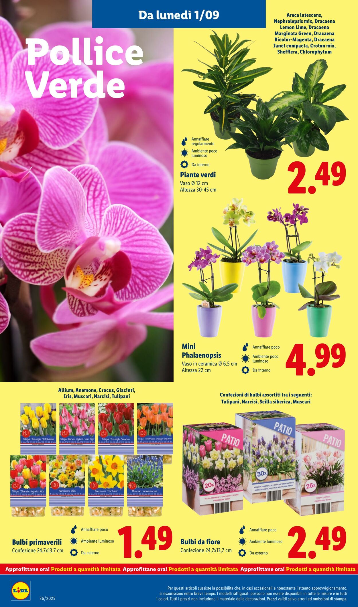 Volantino Lidl 01.09.2025 - 07.09.2025