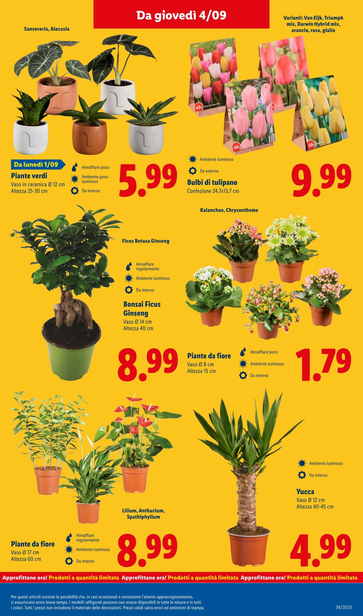 Volantino Lidl 01.09.2025 - 07.09.2025