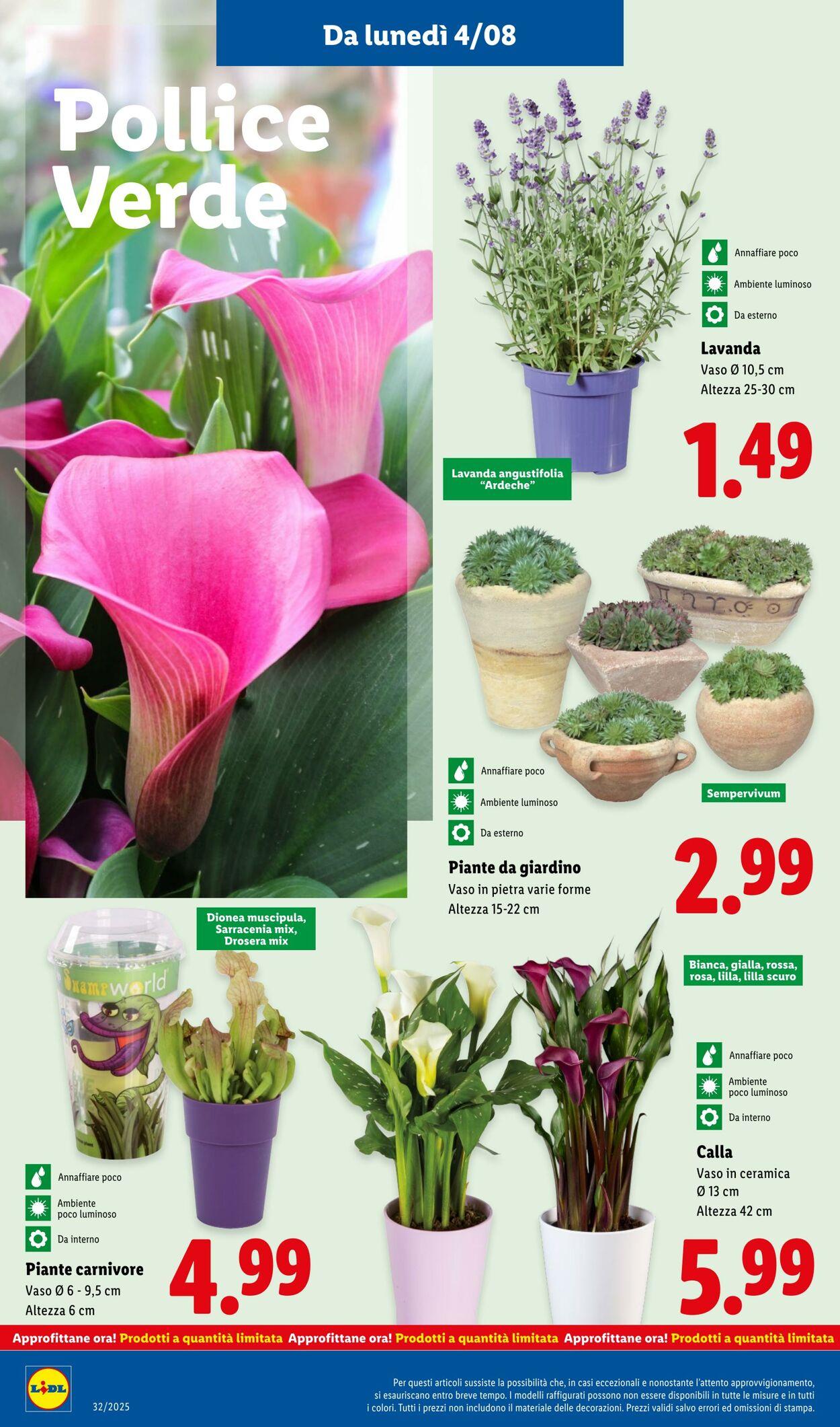 Volantino Lidl 04.08.2025 - 10.08.2025