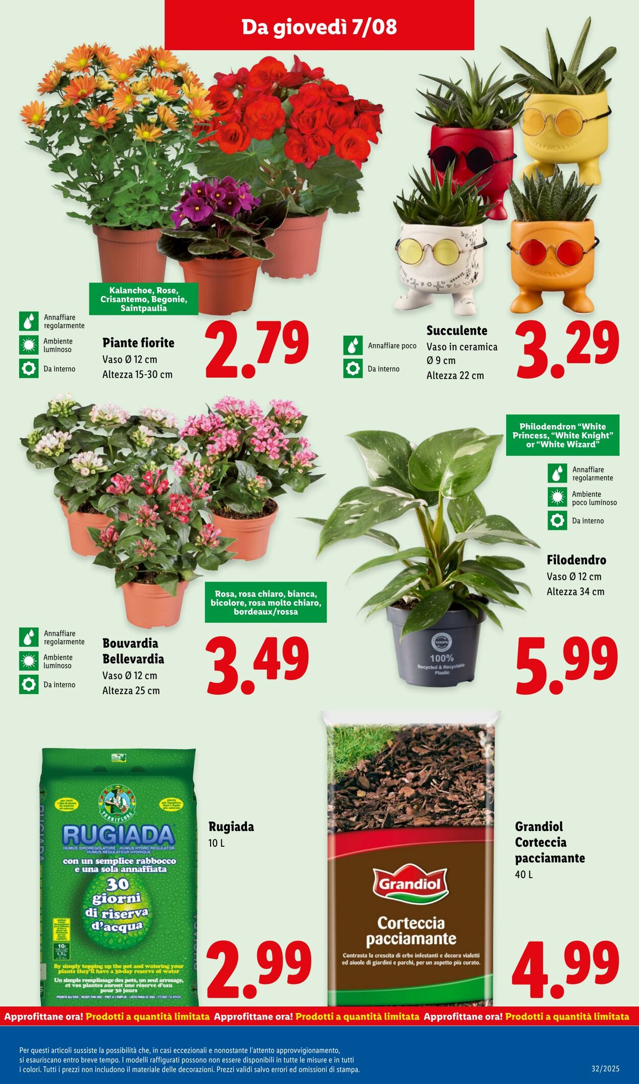 Volantino Lidl 04.08.2025 - 10.08.2025