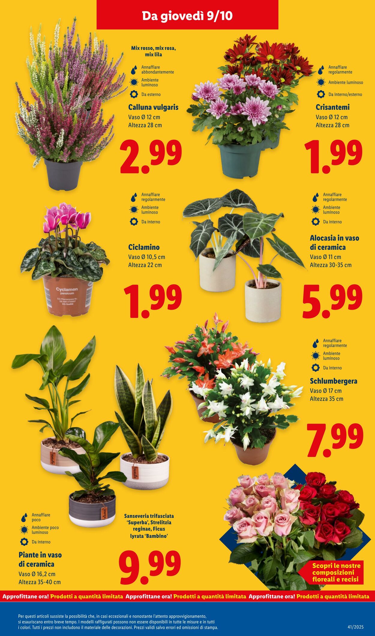 Volantino Lidl 06.10.2025 - 12.10.2025