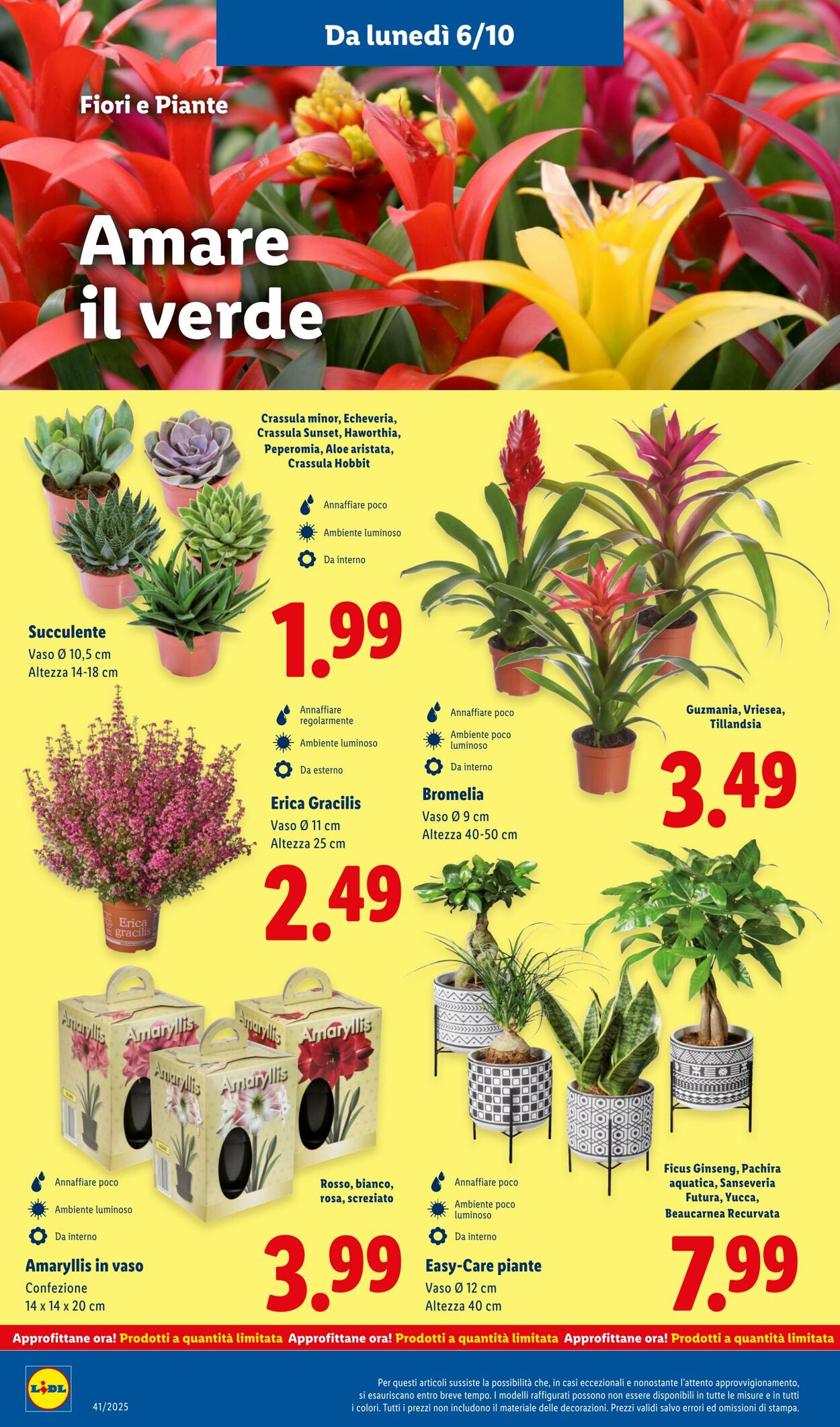Volantino Lidl 06.10.2025 - 12.10.2025