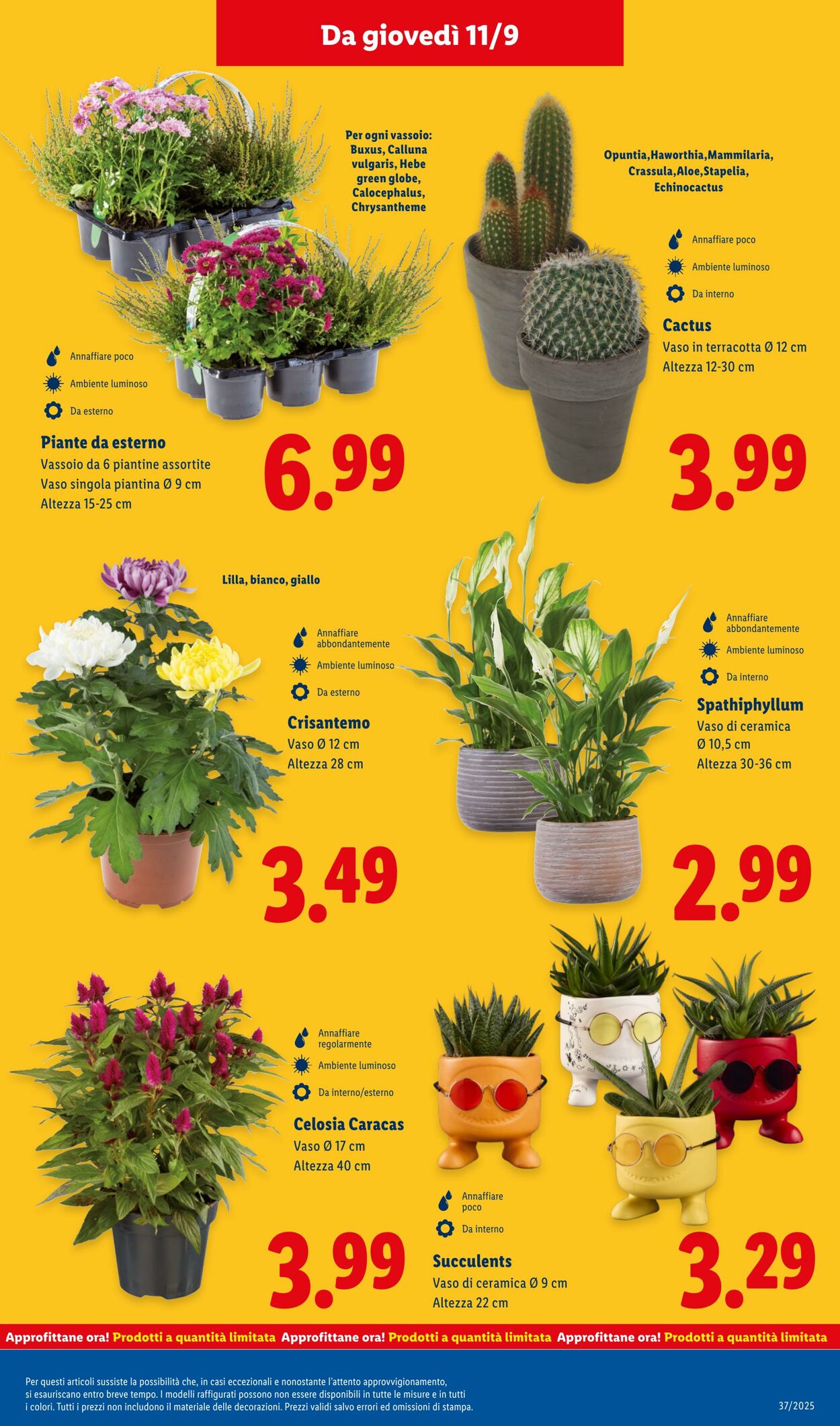 Volantino Lidl 08.09.2025 - 14.09.2025