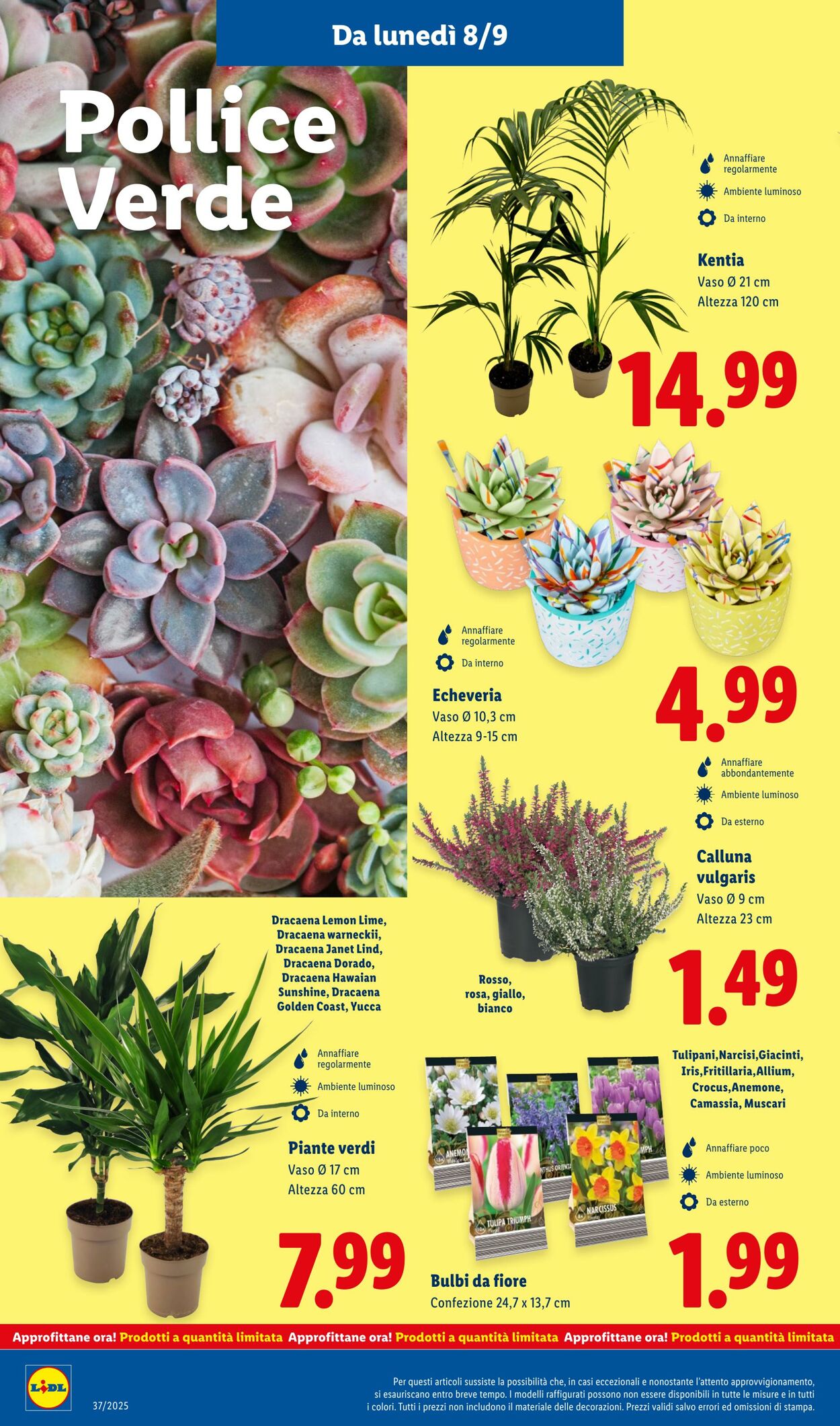Volantino Lidl 08.09.2025 - 14.09.2025