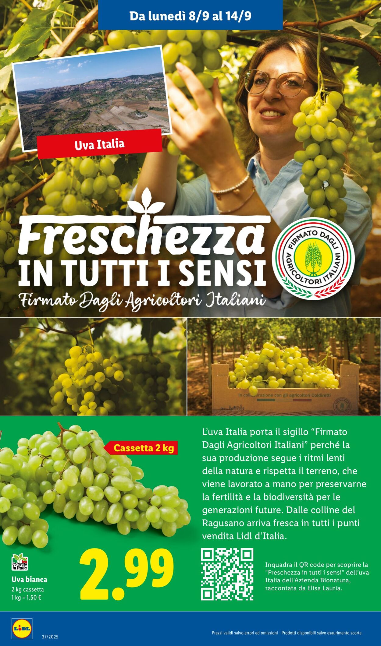 Volantino Lidl 08.09.2025 - 14.09.2025