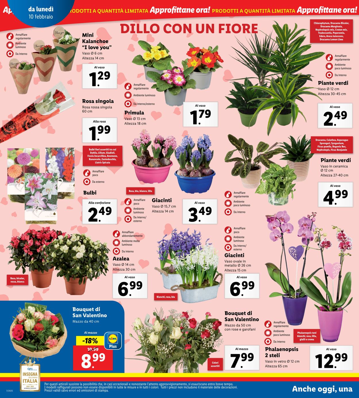 Volantino Lidl 10.02.2025 - 16.02.2025