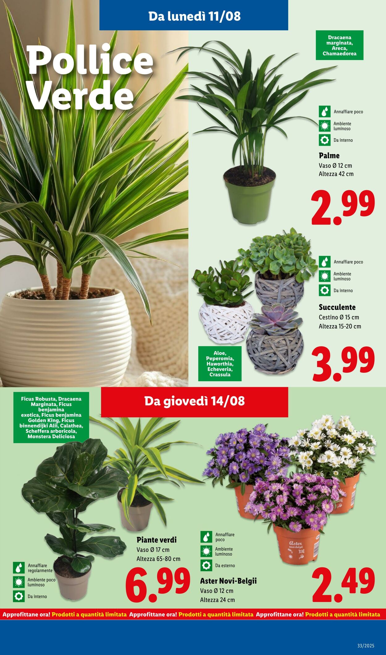 Volantino Lidl 11.08.2025 - 17.08.2025