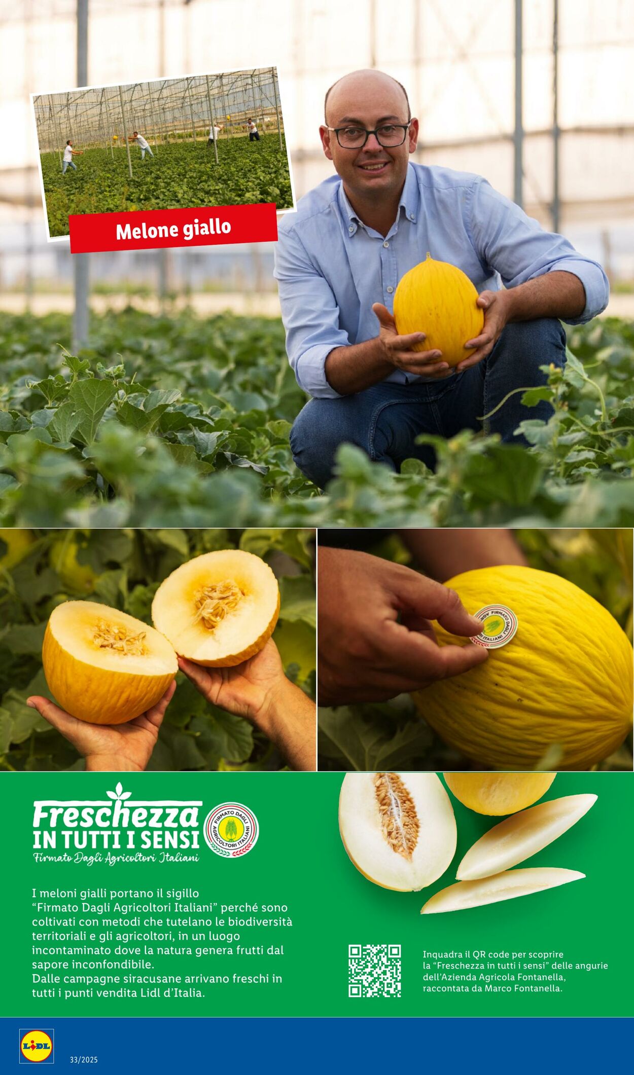 Volantino Lidl 11.08.2025 - 17.08.2025