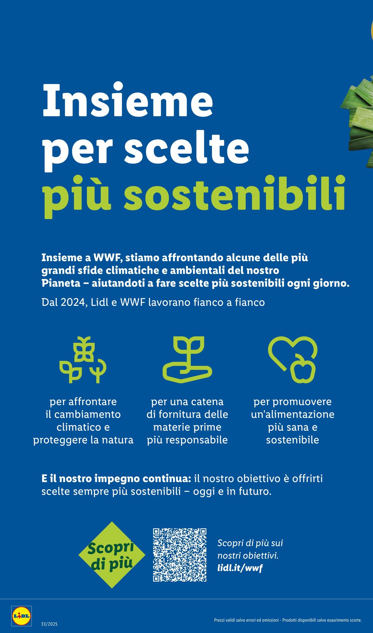 Volantino Lidl 11.08.2025 - 17.08.2025