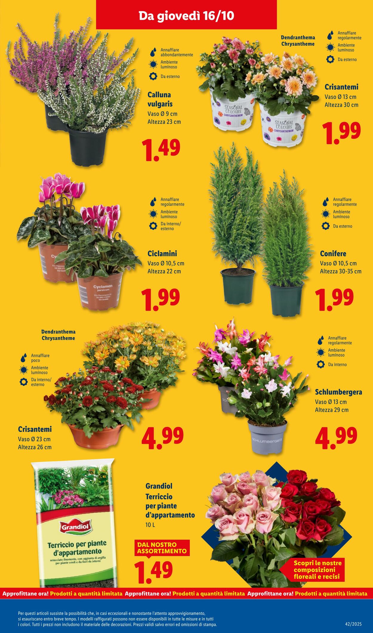 Volantino Lidl 13.10.2025 - 19.10.2025