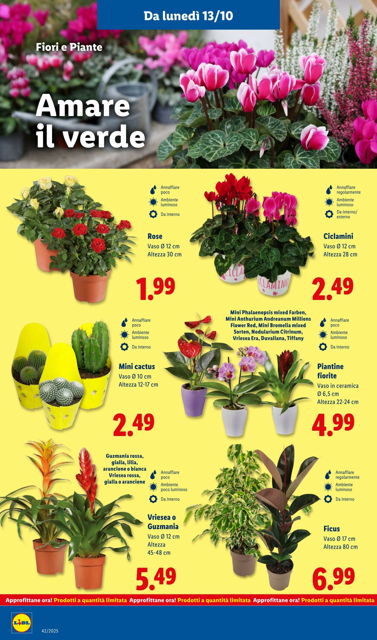 Volantino Lidl 13.10.2025 - 19.10.2025