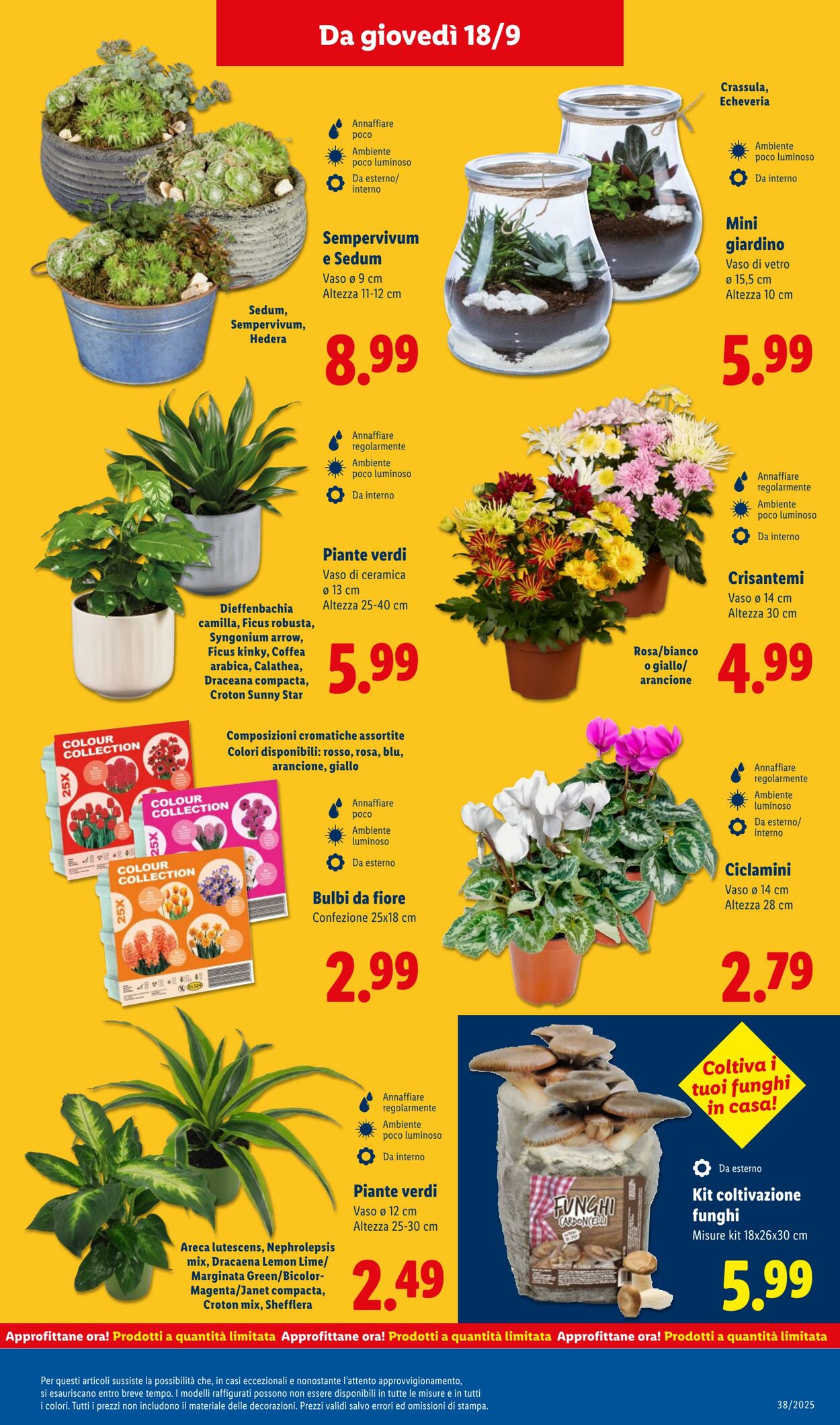 Volantino Lidl 15.09.2025 - 21.09.2025