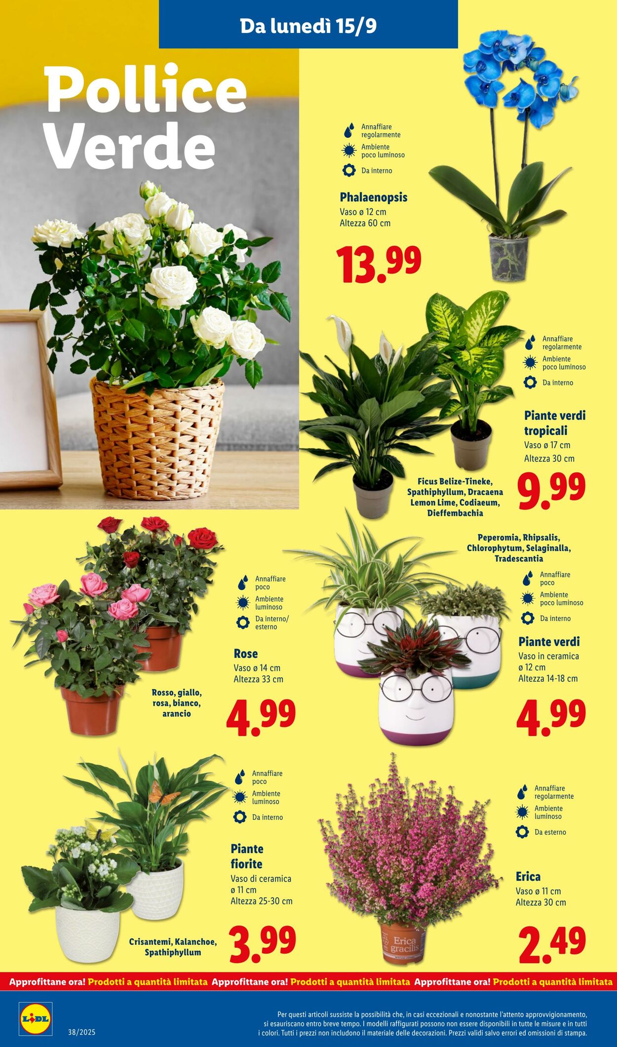 Volantino Lidl 15.09.2025 - 21.09.2025