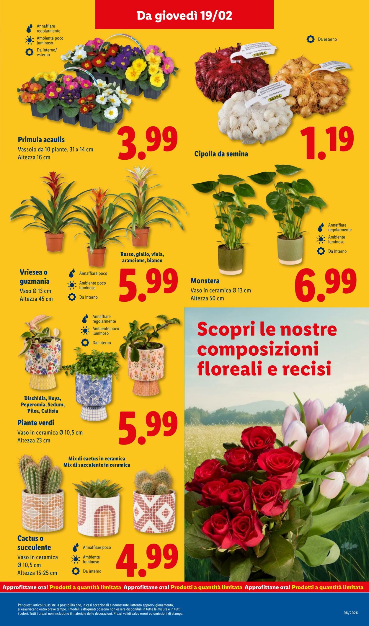 Volantino Lidl 16.02.2026 - 22.02.2026