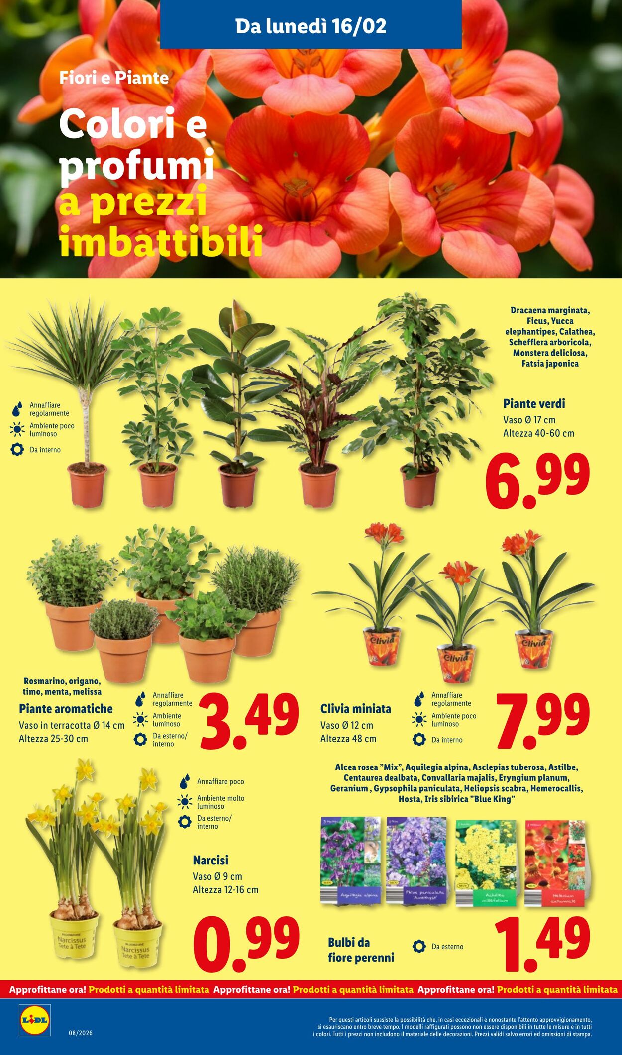 Volantino Lidl 16.02.2026 - 22.02.2026