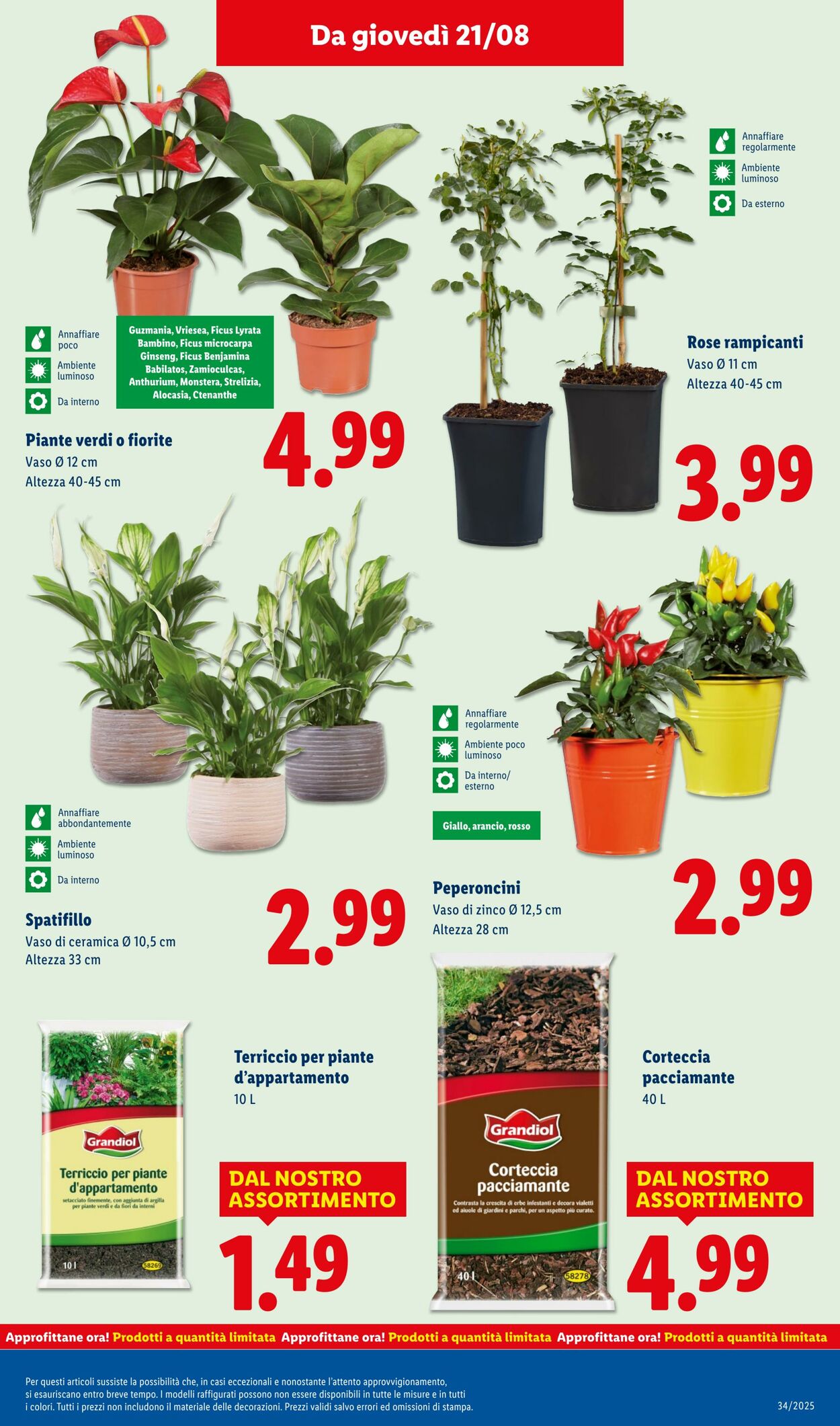 Volantino Lidl 18.08.2025 - 24.08.2025