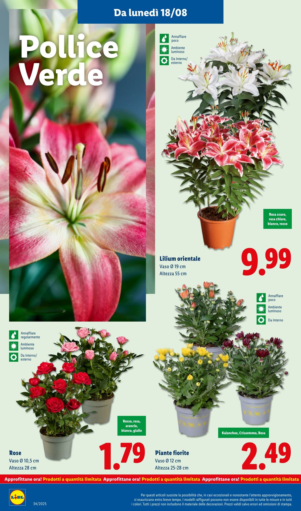 Volantino Lidl 18.08.2025 - 24.08.2025