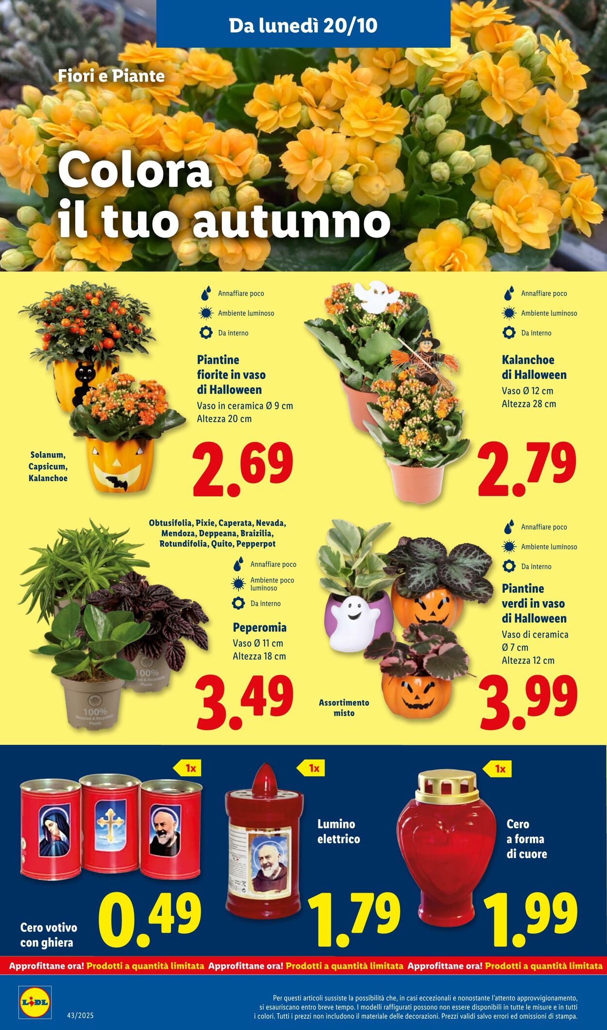 Volantino Lidl 20.10.2025 - 26.10.2025