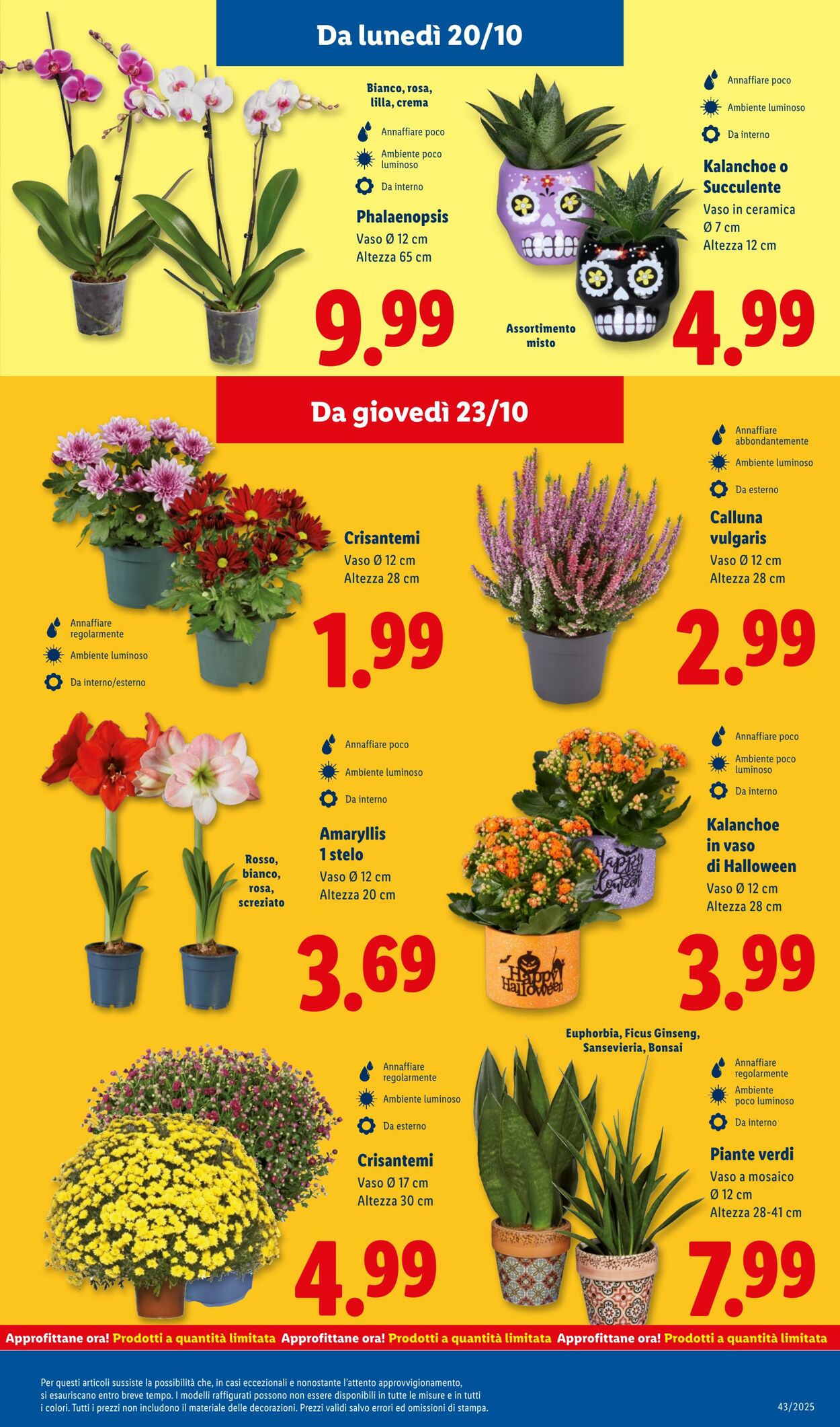 Volantino Lidl 20.10.2025 - 26.10.2025