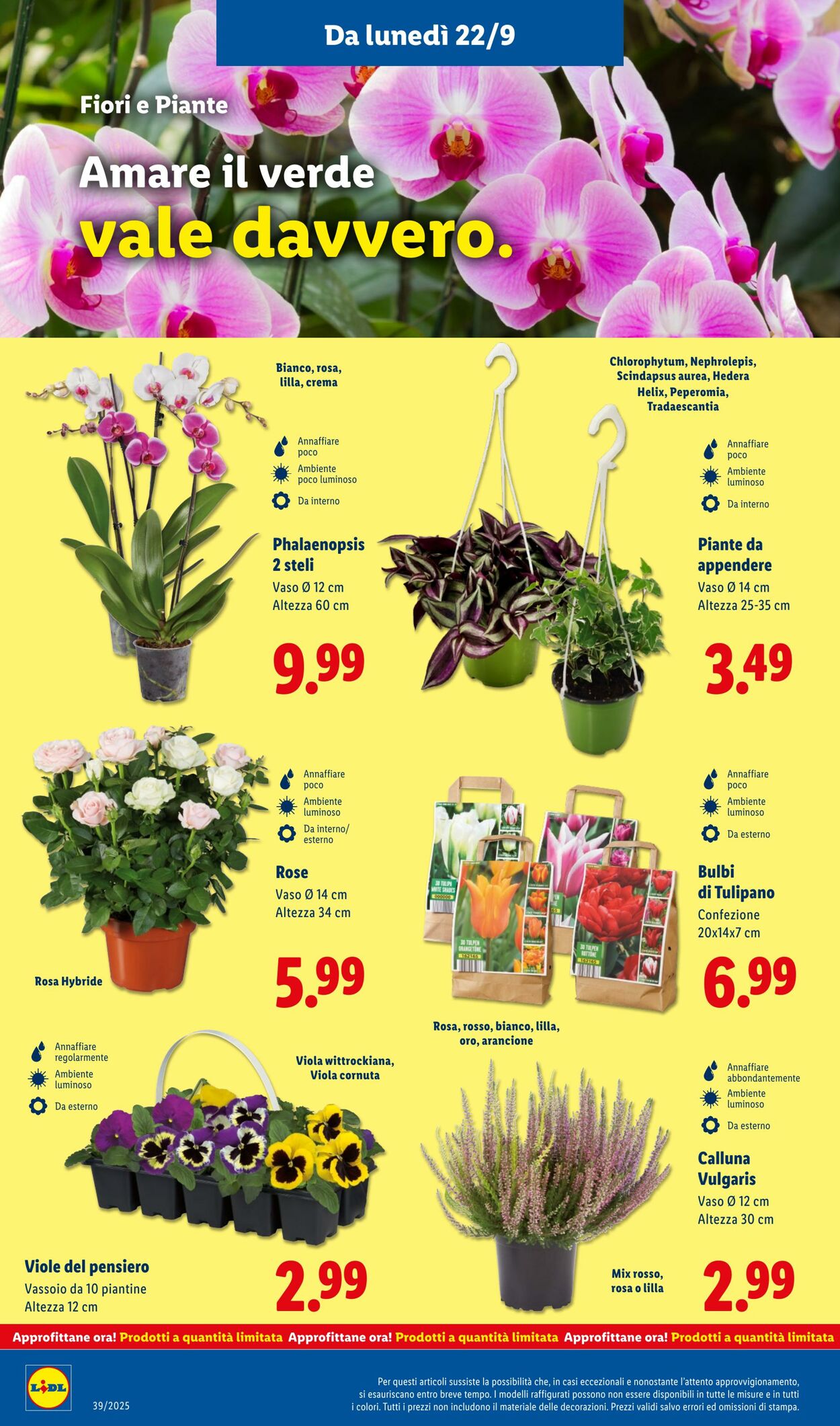 Volantino Lidl 22.09.2025 - 28.09.2025