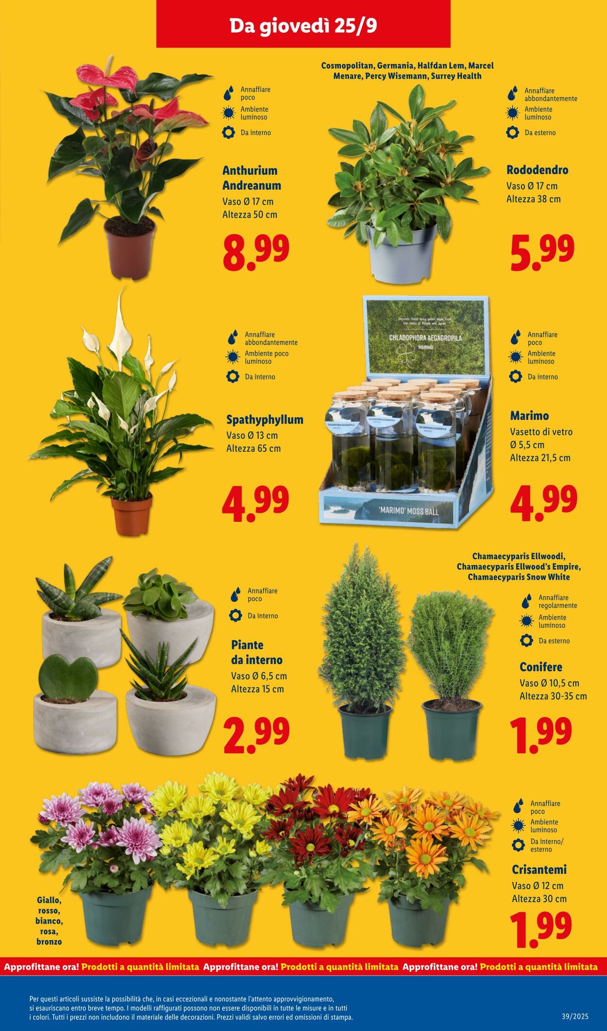 Volantino Lidl 22.09.2025 - 28.09.2025