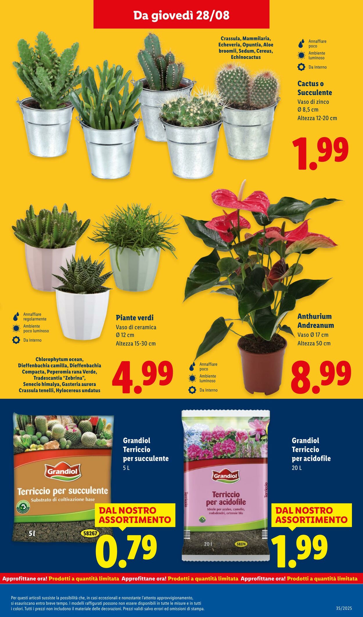 Volantino Lidl 25.08.2025 - 31.08.2025