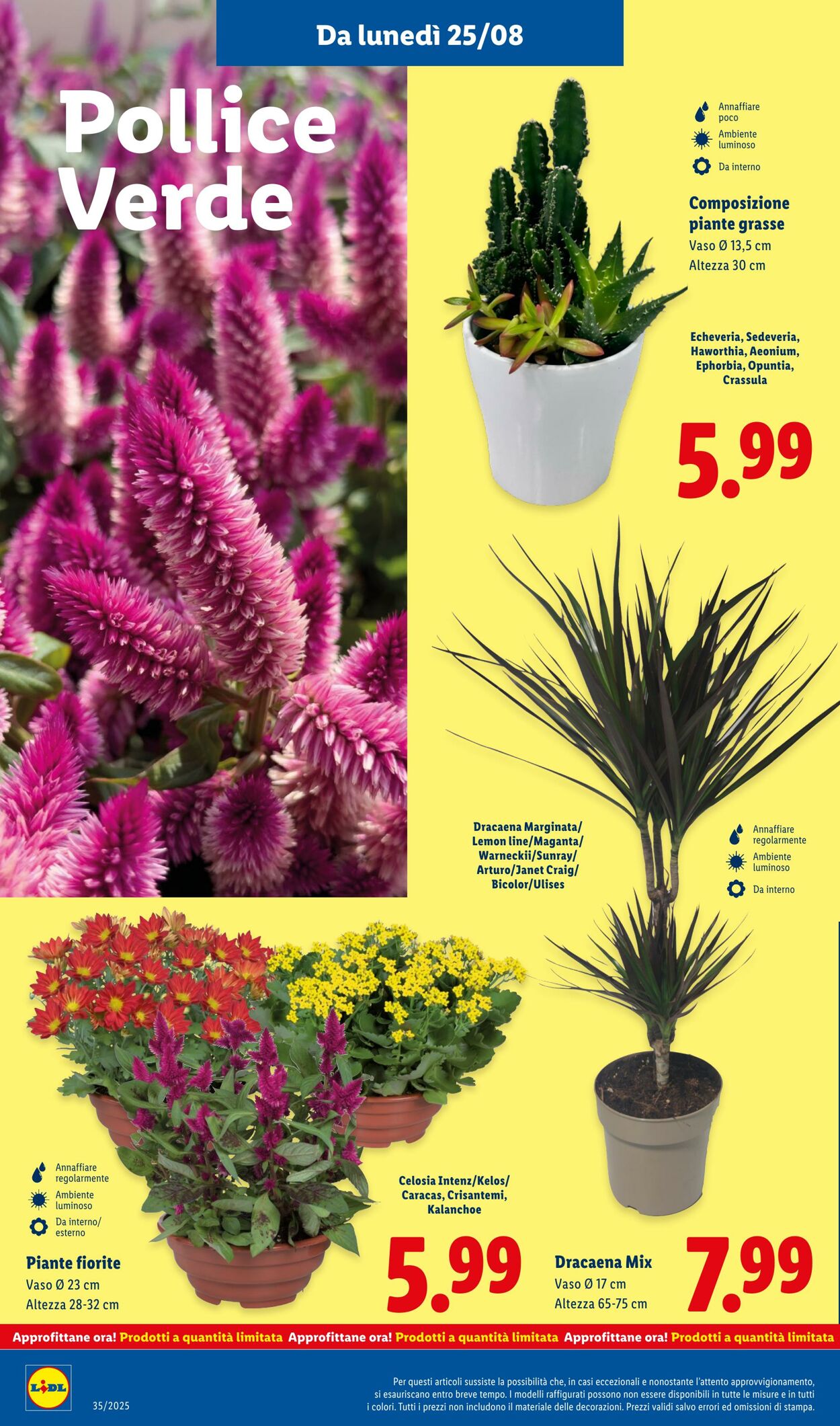 Volantino Lidl 25.08.2025 - 31.08.2025