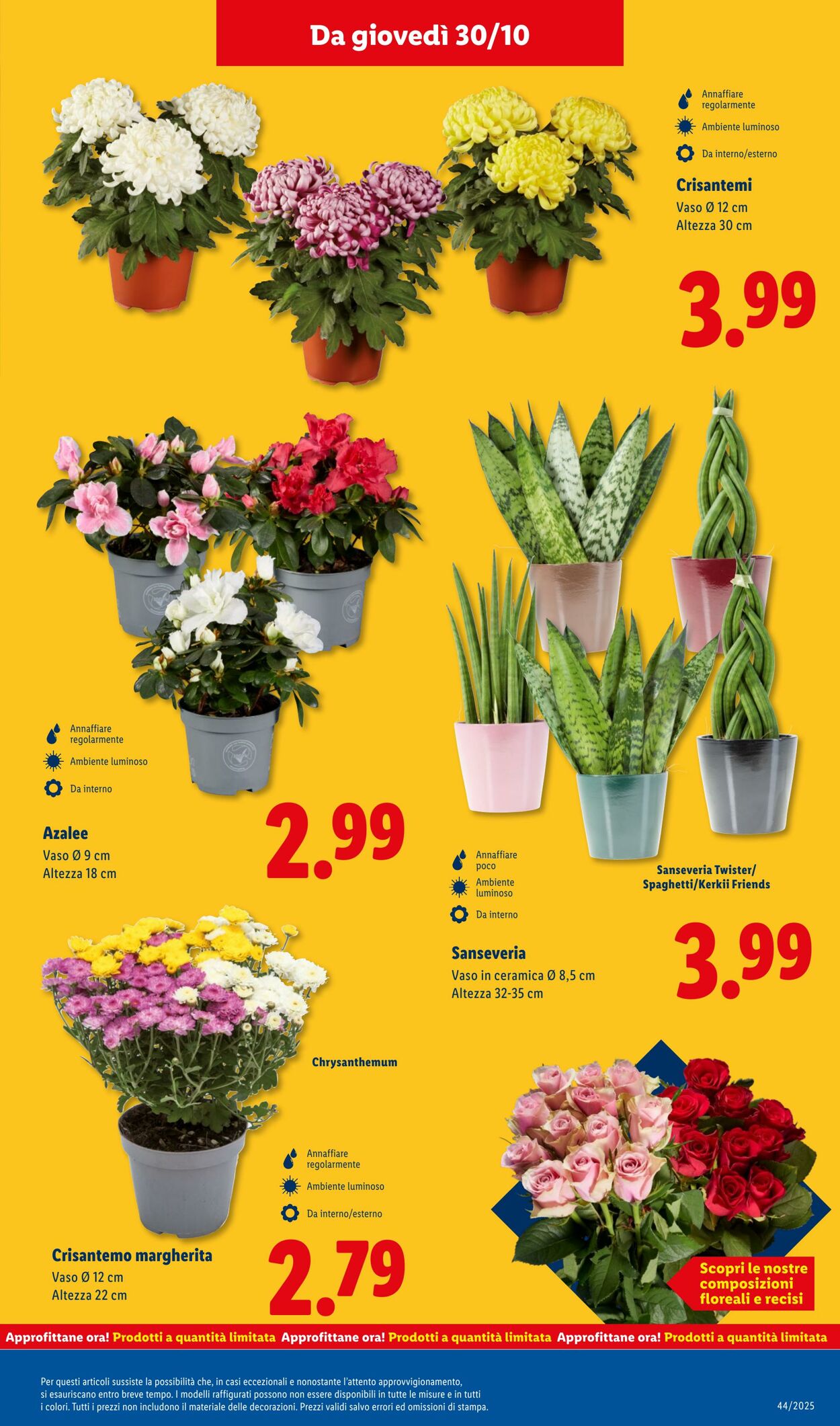 Volantino Lidl 27.10.2025 - 02.11.2025