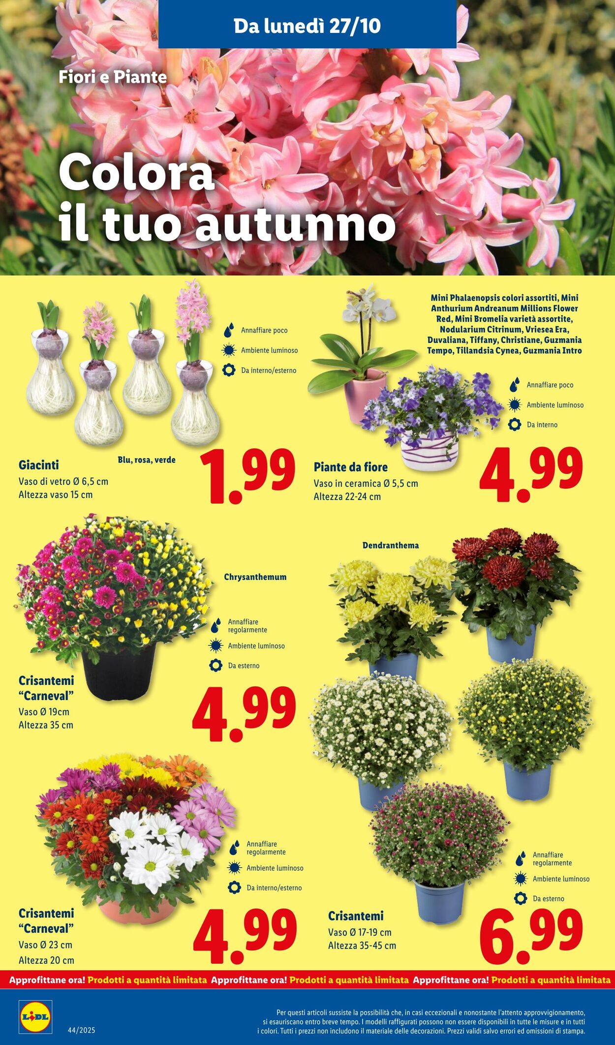 Volantino Lidl 27.10.2025 - 02.11.2025