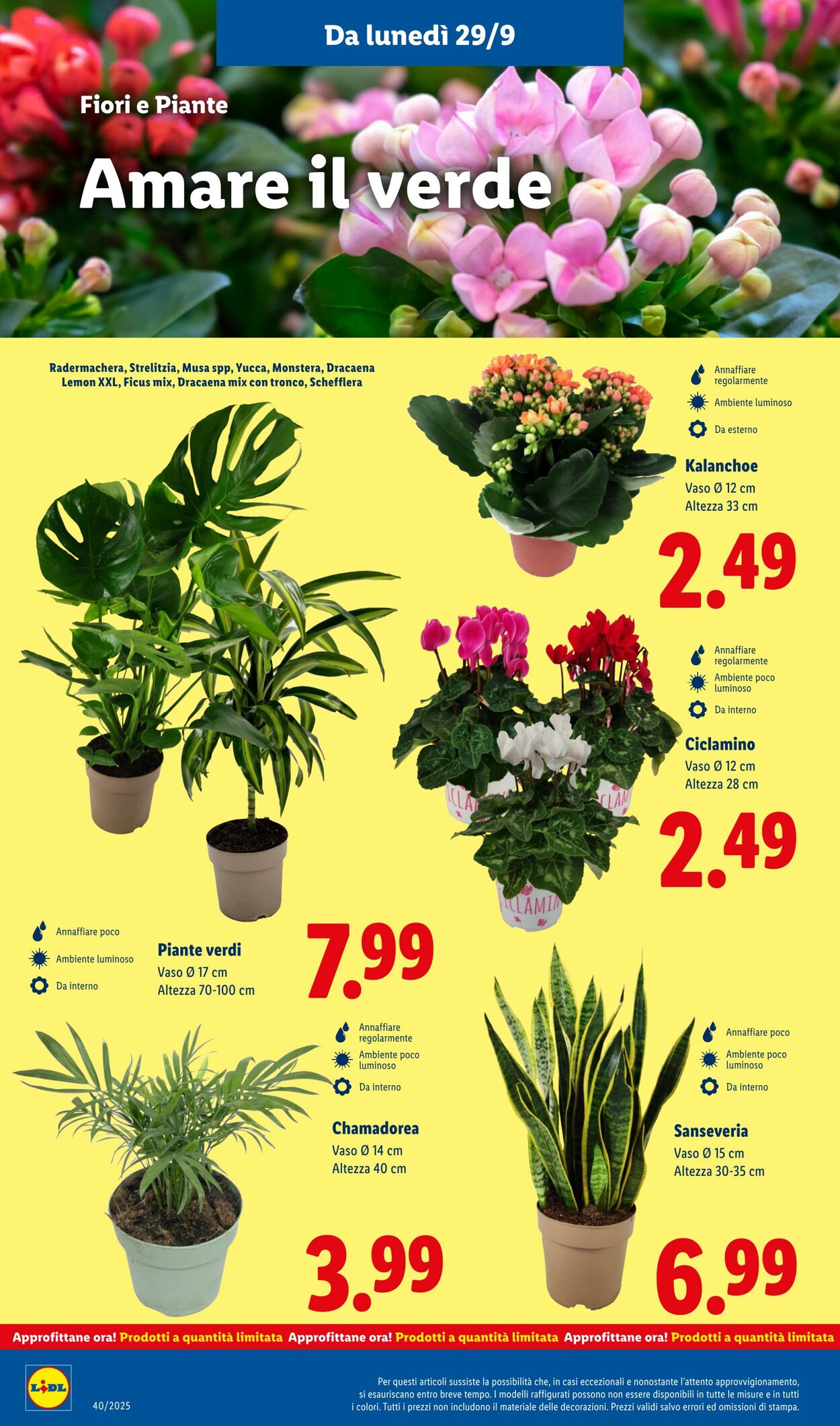 Volantino Lidl 29.09.2025 - 05.10.2025