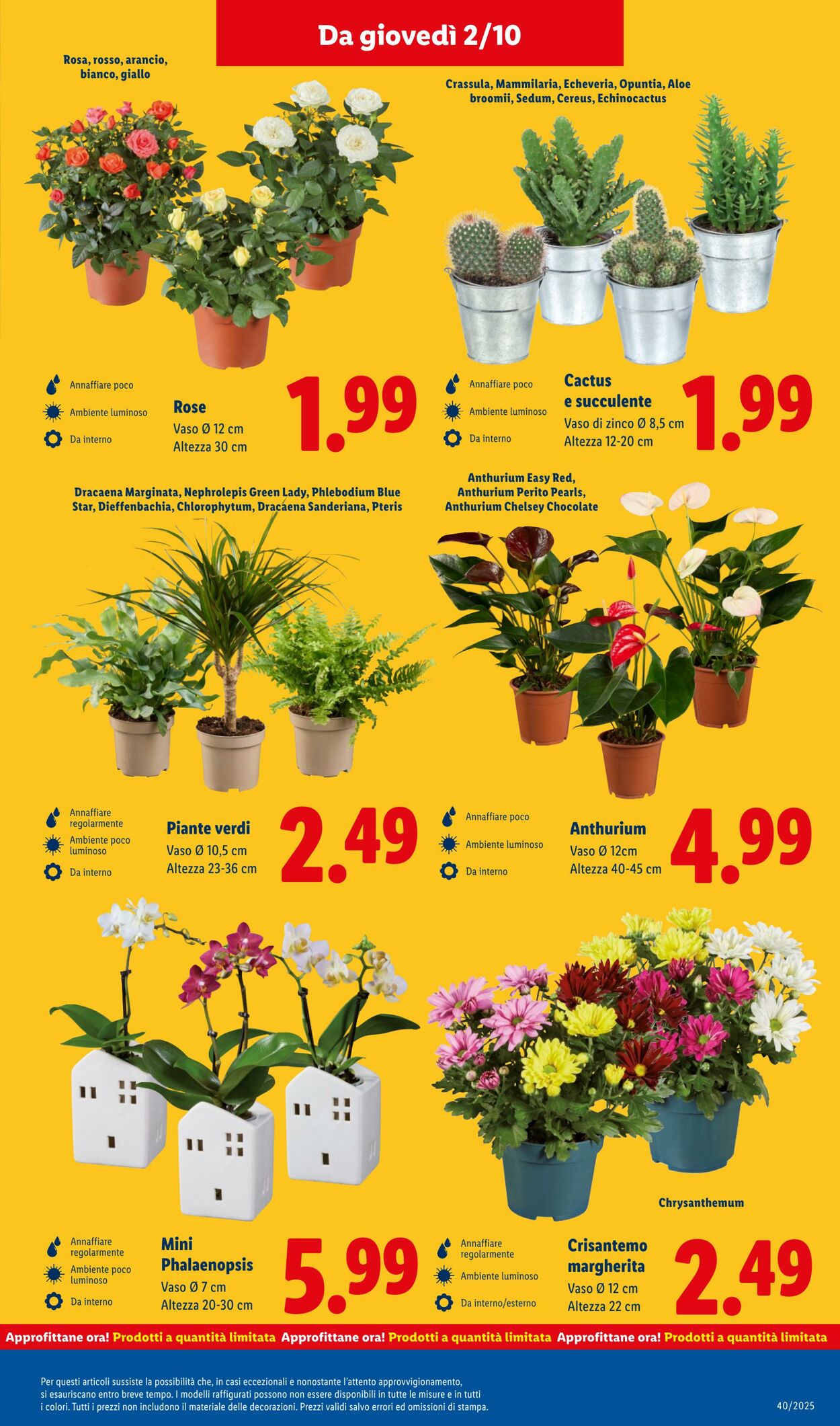 Volantino Lidl 29.09.2025 - 05.10.2025