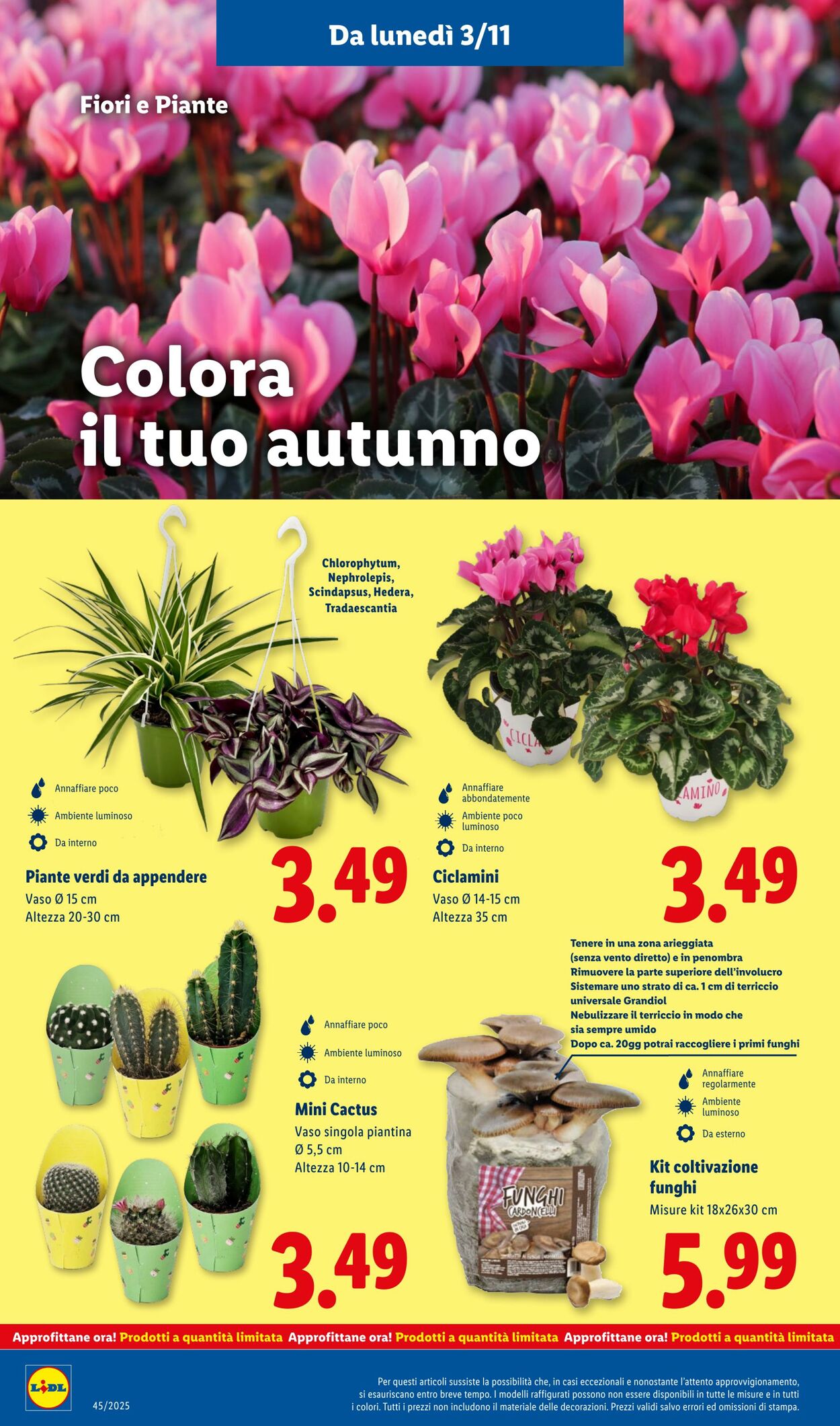 Volantino Lidl 03.11.2025 - 09.11.2025
