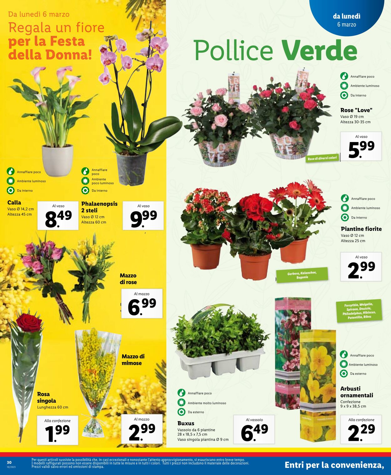 Volantino Lidl 06.03.2023 - 12.03.2023