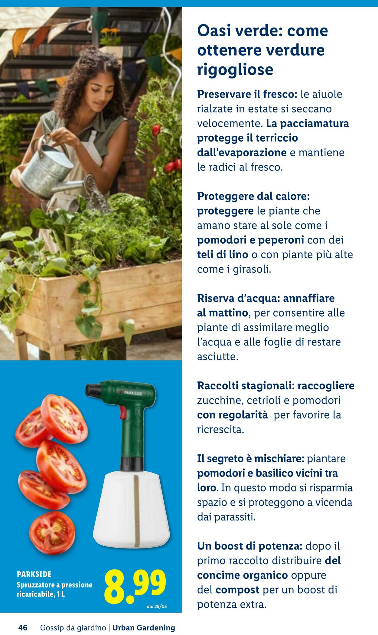 Volantino Lidl 23.04.2026 - 01.05.2026