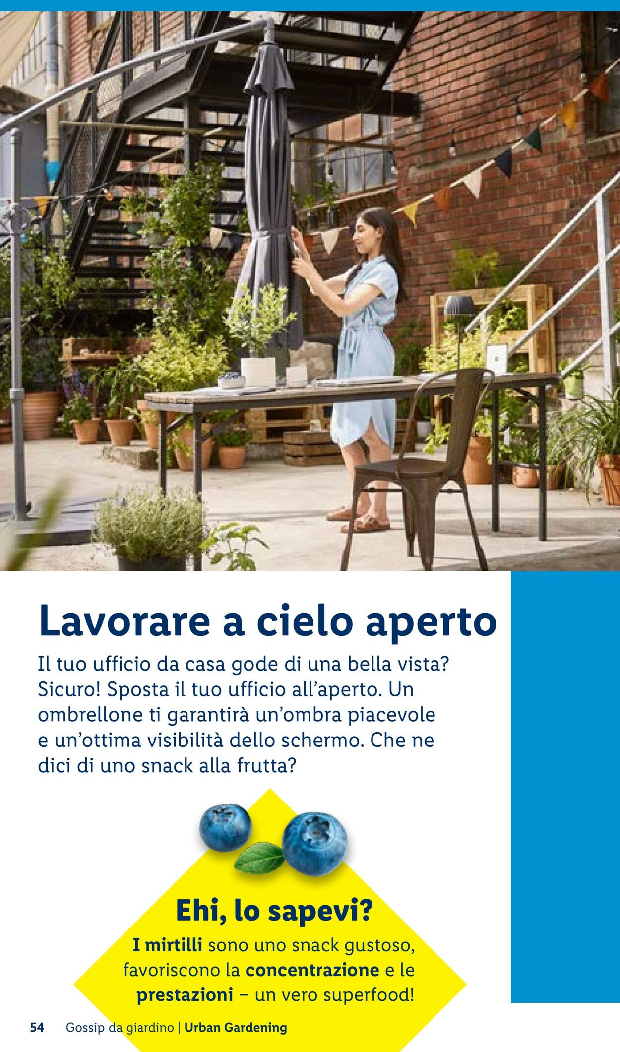 Volantino Lidl 23.04.2026 - 01.05.2026