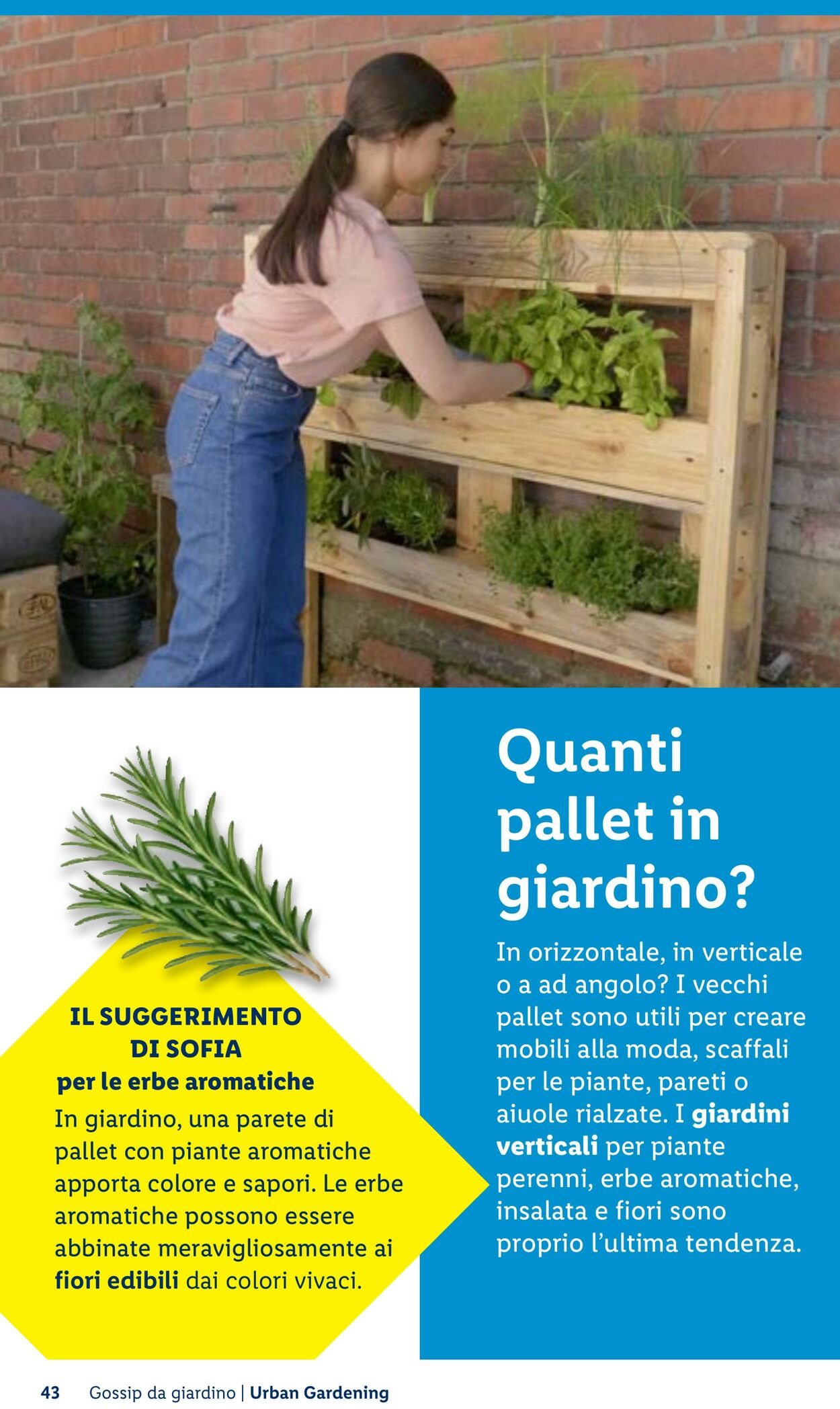 Volantino Lidl 23.04.2026 - 01.05.2026