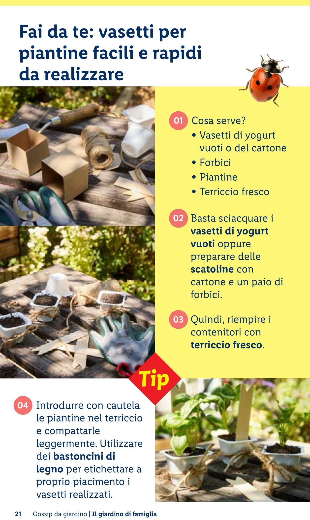 Volantino Lidl 23.04.2026 - 01.05.2026