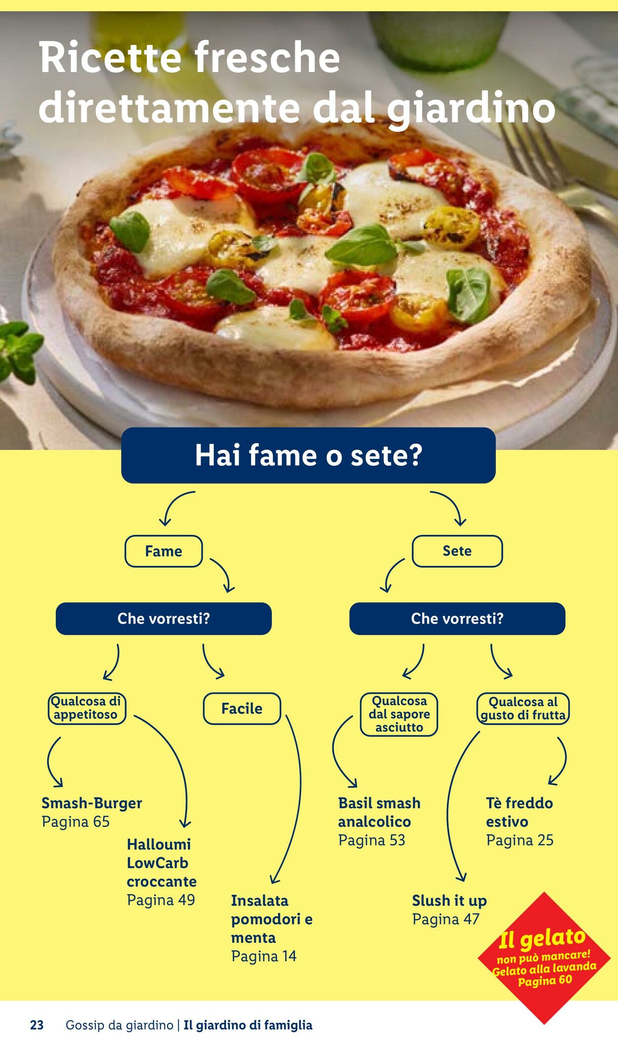 Volantino Lidl 23.04.2026 - 01.05.2026