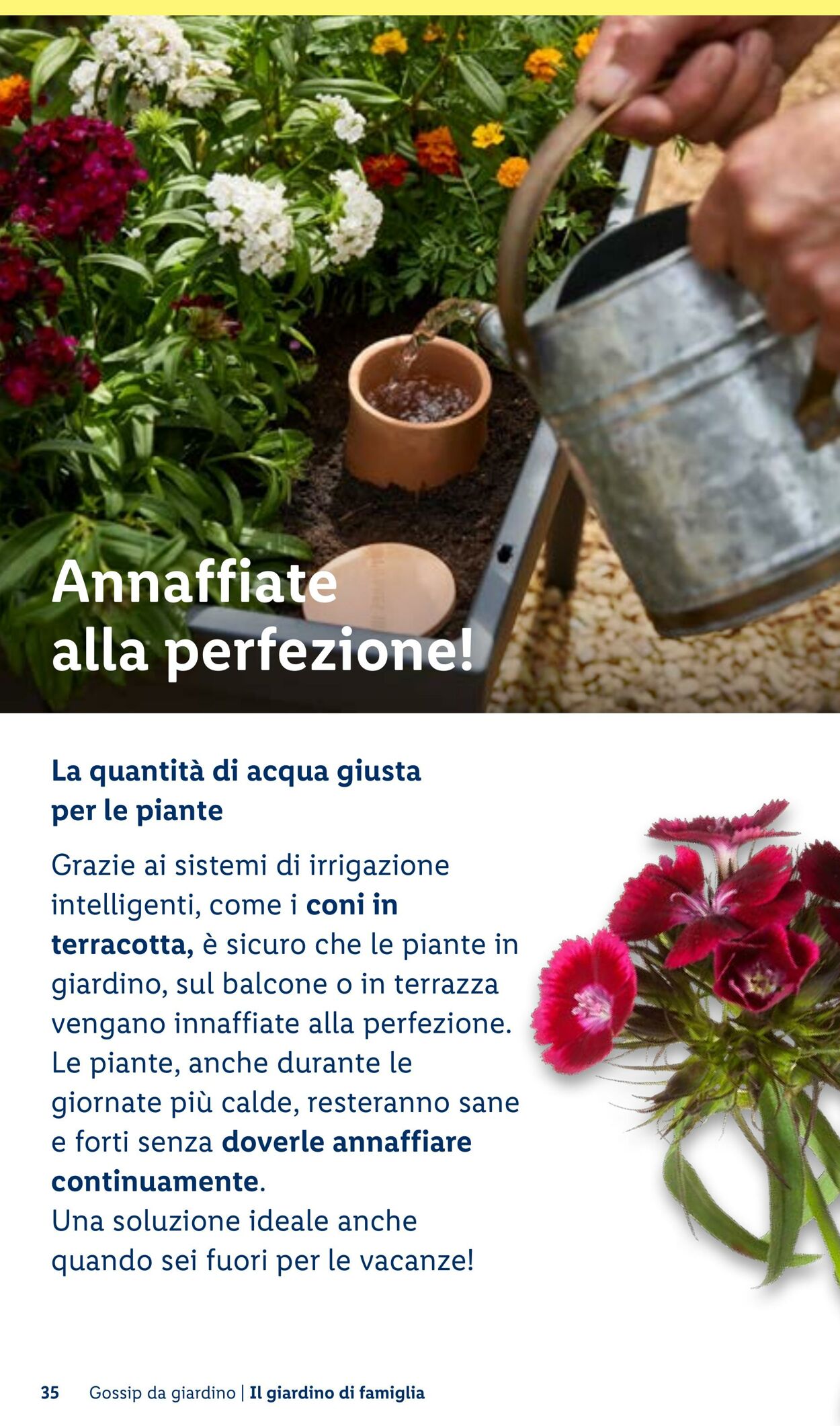 Volantino Lidl 23.04.2026 - 01.05.2026