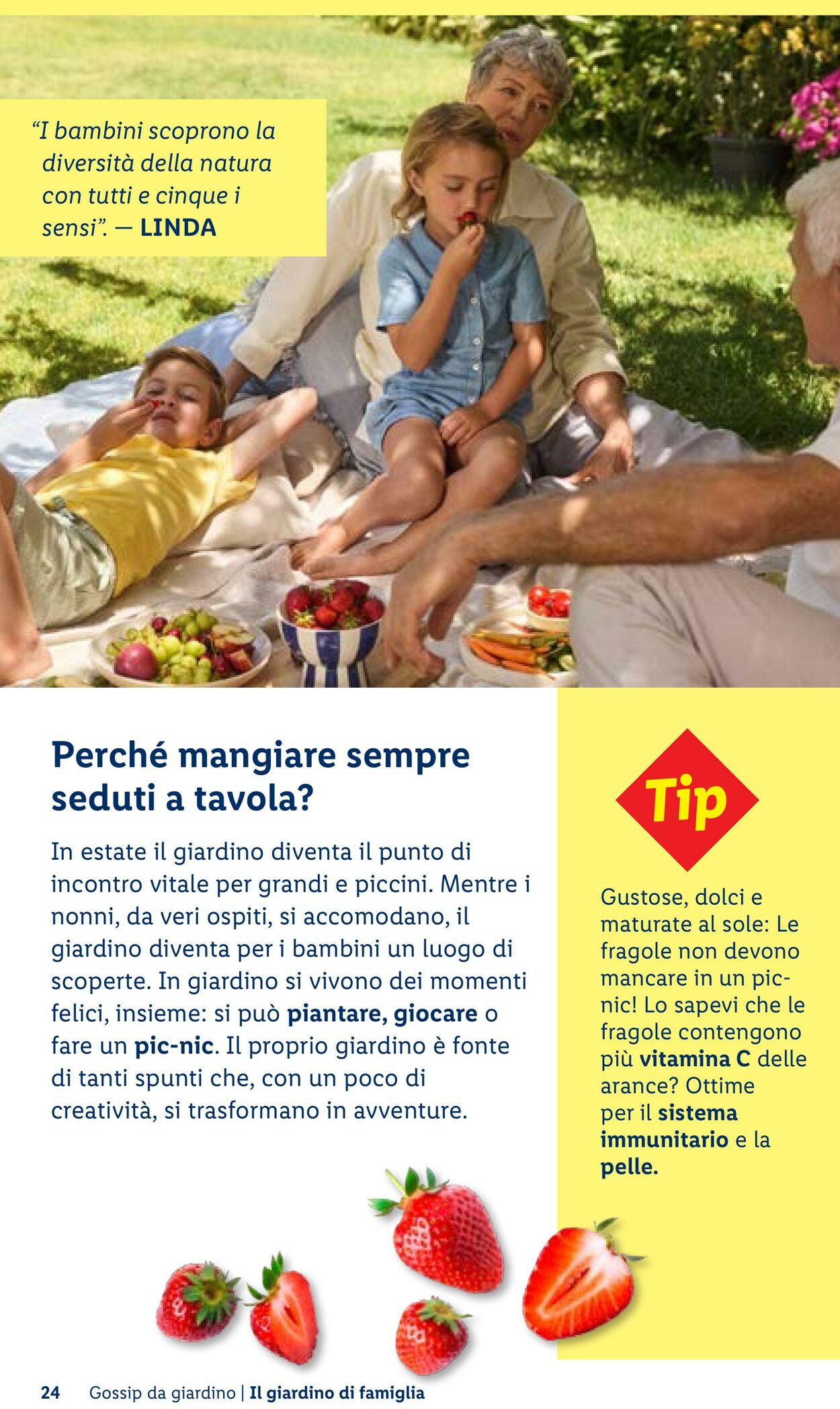 Volantino Lidl 23.04.2026 - 01.05.2026