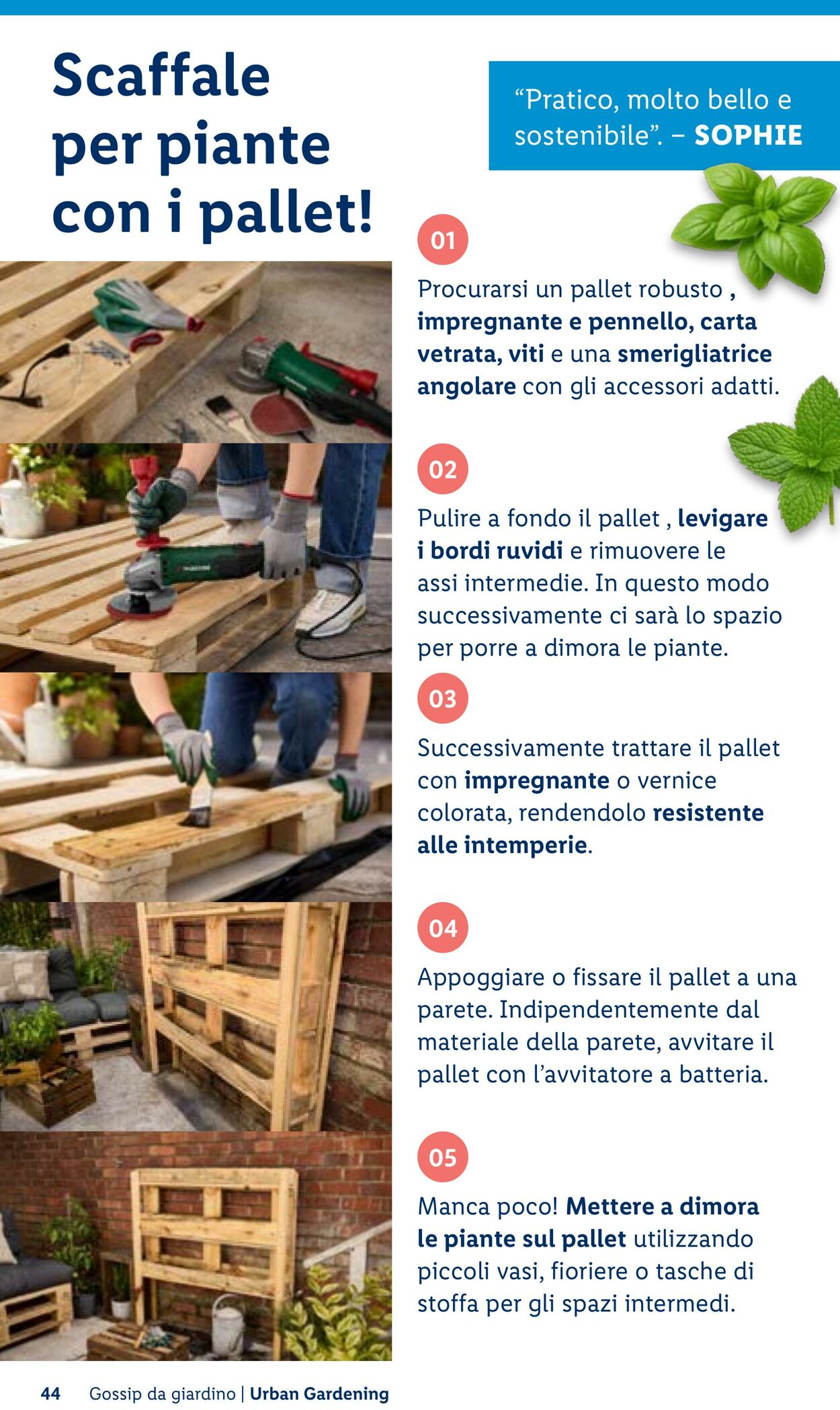 Volantino Lidl 23.04.2026 - 01.05.2026