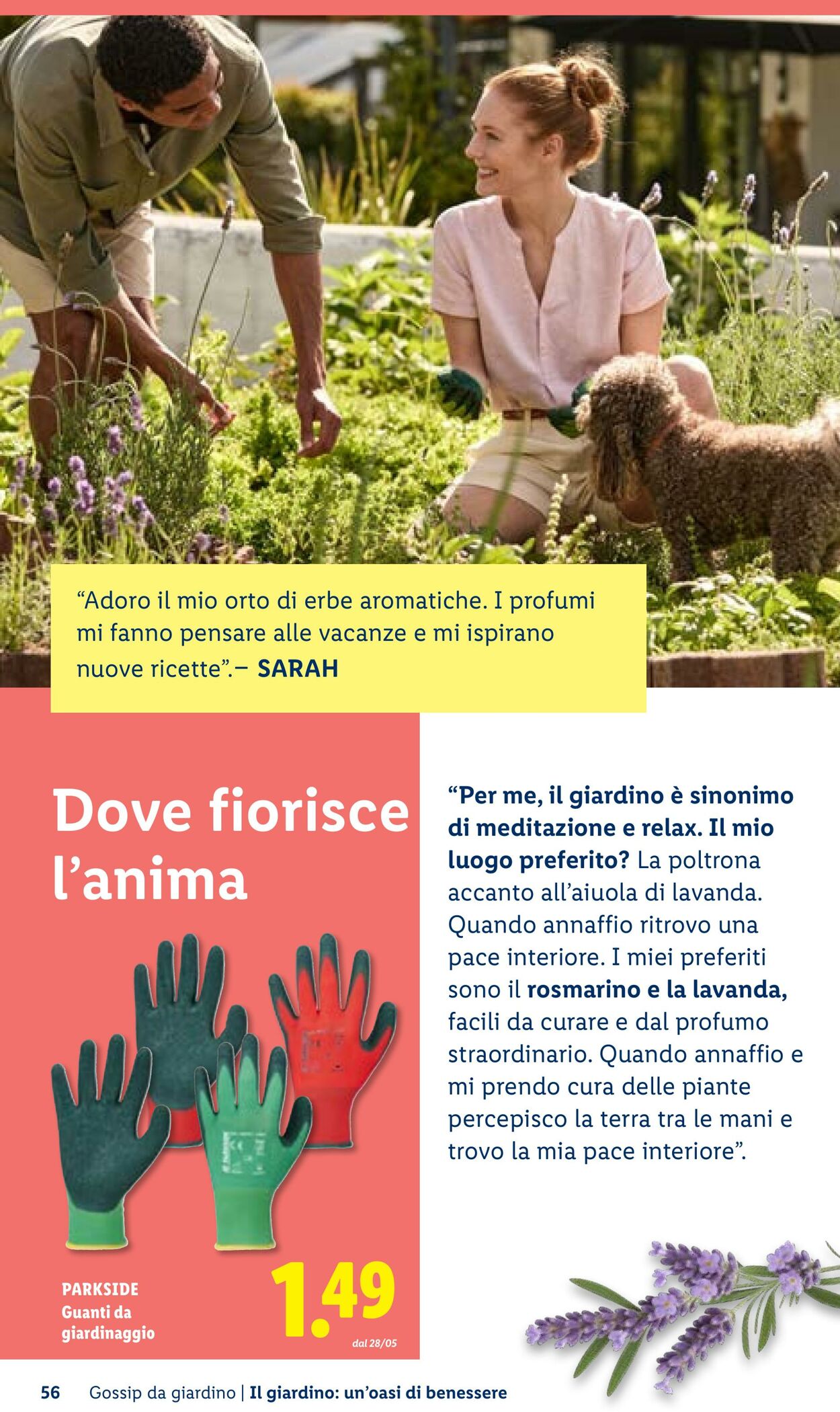 Volantino Lidl 23.04.2026 - 01.05.2026