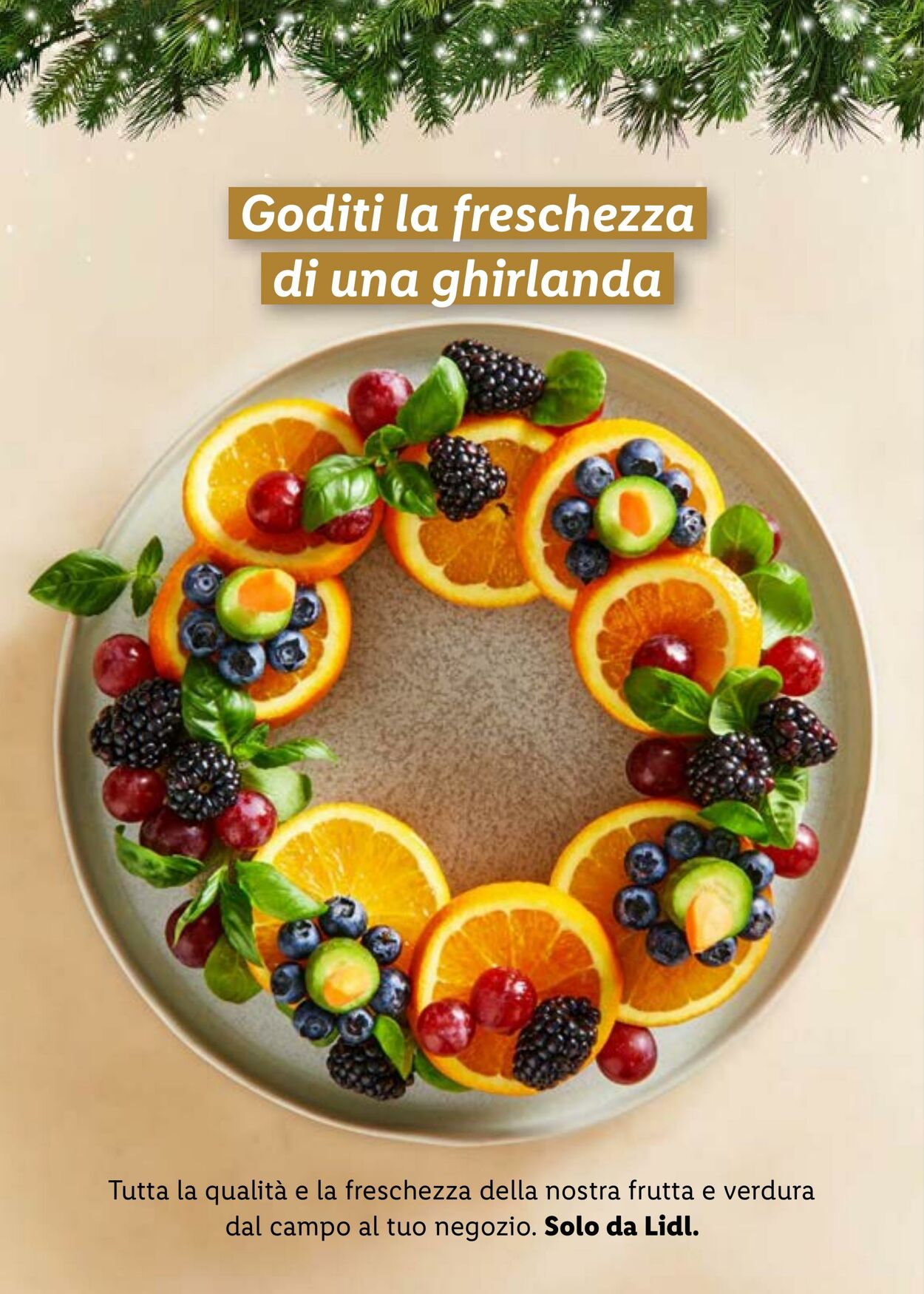 Volantino Lidl 07.11.2023 - 31.12.2023