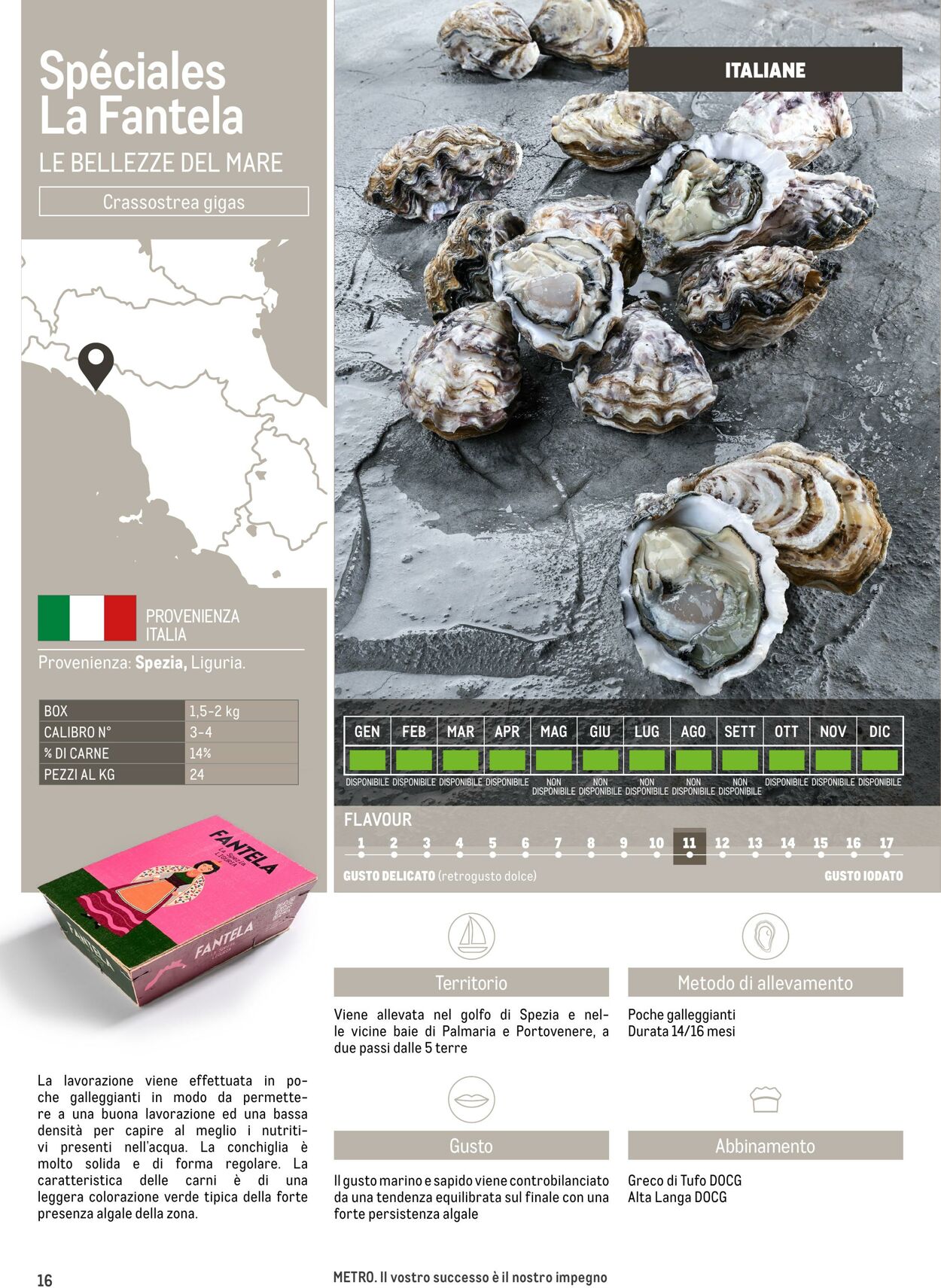 Volantino Metro 17.06.2025 - 17.06.2026