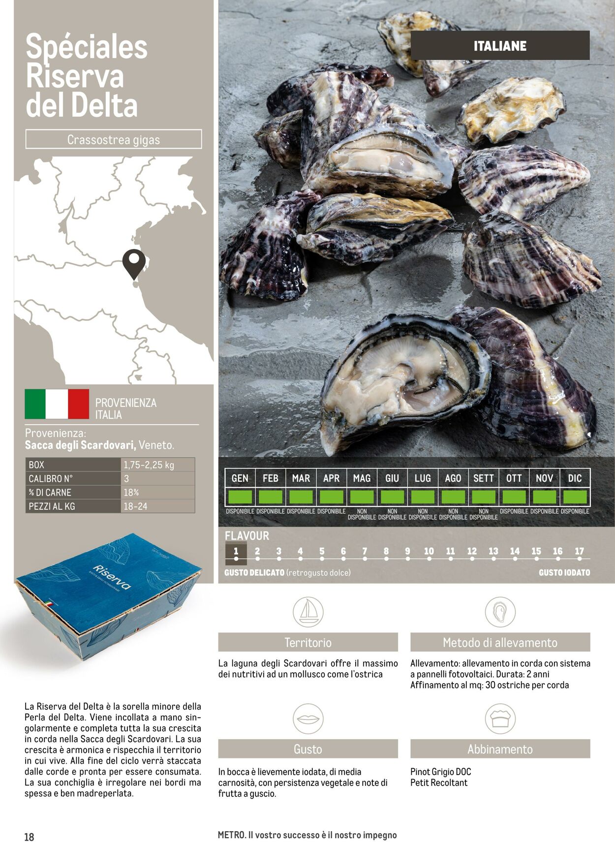 Volantino Metro 17.06.2025 - 17.06.2026